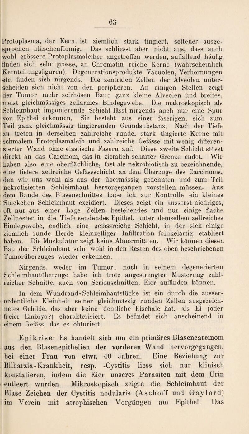 Protoplasma, der Kern ist ziemlich stark tingiert, seltener ausge¬ sprochen bläschenförmig. Das schliesst aber nicht aus, dass auch wohl grössere Protoplasmaleiber angetroffen werden, auffallend häufig finden sich sehr grosse, an Chromatin reiche Kerne (wahrscheinlich Kernteilungsfiguren). Degenerationsprodukte, Vacuolen, Verhornungen etc. finden sich nirgends. Die zentralen Zellen der Alveolen unter¬ scheiden sich nicht von den peripheren. An einigen Stellen zeigt der Tumor mehr scirhösen Bau: ganz kleine Alveolen und breites, meist gleichmässiges zellarmes Bindegewebe. Die makroskopisch als Schleimhaut imponierende Schicht lässt nirgends auch nur eine Spur von Epithel erkennen. Sie besteht aus einer faserigen, sich zum Teil ganz gleichmässig fingierenden Grundsubstanz. Nach der Tiefe zu treten in derselben zahlreiche runde, stark fingierte Kerne mit schmalem Protoplasmaleib und zahlreiche Gefässe mit wenig differen¬ zierter Wand ohne elastische Fasern auf. Diese zweite Schicht stösst direkt an das Carcinom, das in ziemlich scharfer Grenze endet. Wir haben also eine oberflächliche, fast als nekrobiotisch zu bezeichnende, eine tiefere zellreiche Gefässschicht an dem Überzüge des Carcinoms, den wir uns wohl als aus der übermässig gedehnten und zum Teil nekrotisierten Schleimhaut hervorgegangen vorstellen müssen. Aus dem Rande des Blasenschnittes habe ich zur Kontrolle ein kleines Stückchen Schleimhaut exzidiert. Dieses zeigt ein äusserst niedriges, oft nur aus einer Lage Zellen bestehendes und nur einige flache Zellnester in die Tiefe sendendes Epithel, unter demselben zellreiches Bindegewebe, endlich eine gefässreiche Schicht, in der sich einige ziemlich runde Herde kleinzelliger Infiltration follikelartig etabliert haben. Die Muskulatur zeigt keine Abnormitäten. Wir können diesen Bau der Schleimhaut sehr wohl in den Resten des oben beschriebenen Tumorüberzuges wieder erkennen. Nirgends, weder im Tumor, noch in seinem degenerierten Schleimhautüberzuge habe ich trotz angestrengter Musterung zahl¬ reicher Schnitte, auch von Serienschnitten, Eier auffinden können. In dem Wundrand-Schleimhautstücke ist ein durch die ausser¬ ordentliche Kleinheit seiner gleichmässig runden Zellen ausgezeich¬ netes Gebilde, das aber keine deutliche Eischale hat, als Ei (oder freier Embryo?) charakterisiert. Es befindet sich anscheinend in einem Gefäss, das es obturiert. Epikrise: Es handelt sich um ein primäres Blasencarcinom aus den Blasenepithelien der vorderen Wand hervorgegangen, bei einer Frau von etwa 40 Jahren. Eine Beziehung zur Bilharzia-Krankheit, resp. -Cystitis liess sich nur klinisch konstatieren, indem die Eier unseres Parasiten mit dem Urin entleert wurden. Mikroskopisch zeigte die Schleimhaut der Blase Zeichen der Cystitis nodularis (Aschoff und Gaylord) im Verein mit atrophischen Vorgängen am Epithel. Das