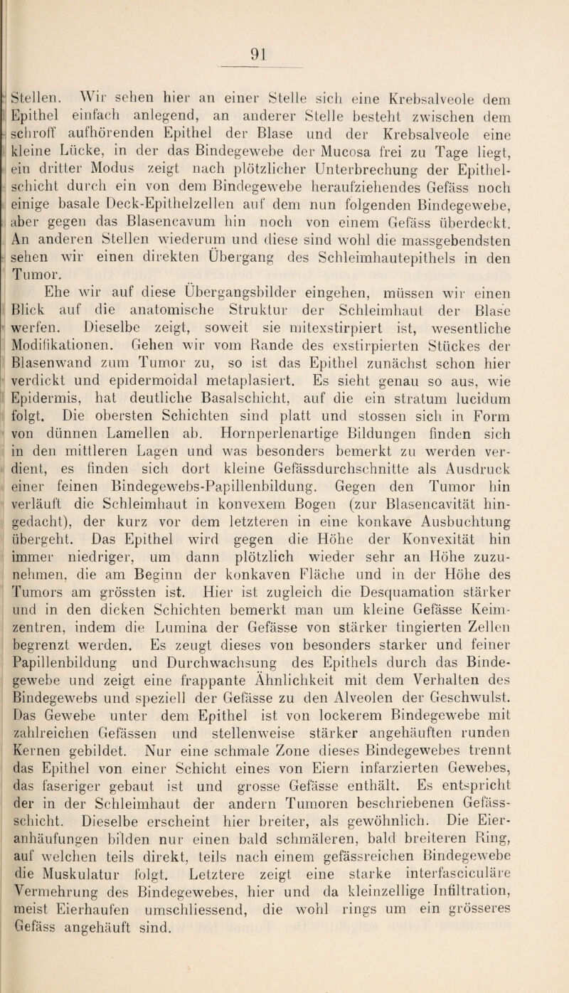 Stellen. Wir sehen hier an einer Stelle sich eine Krebsalveole dem Epithel einfach anlegend, an anderer Stelle besteht zwischen dem schroff aufhörenden Epithel der Blase und der Krebsalveole eine kleine Lücke, in der das Bindegewebe der Mucosa frei zu Tage liegt, ein dritter Modus zeigt nach plötzlicher Unterbrechung der Epithel¬ schicht durch ein von dem Bindegewebe heraufziehendes Gefäss noch einige basale Deck-Epithelzellen auf dem nun folgenden Bindegewebe, aber gegen das Blasencavum hin noch von einem Gefäss überdeckt. An anderen Stellen wiederum und diese sind wohl die massgebendsten sehen wir einen direkten Übergang des Schleimhautepithels in den Tumor. Ehe wir auf diese Übergangsbilder eingehen, müssen wir einen Blick auf die anatomische Struktur der Schleimhaut der Blase werfen. Dieselbe zeigt, soweit sie mitexstirpiert ist, wesentliche Modifikationen. Gehen wir vom Rande des exstirpierten Stückes der Blasenwand zum Tumor zu, so ist das Epithel zunächst schon hier verdickt und epidermoidal metaplasiert. Es sieht genau so aus, wie Epidermis, hat deutliche Basalschicht, auf die ein stratum lucidum folgt. Die obersten Schichten sind platt und stossen sich in Form von dünnen Lamellen ab. Hornperlenartige Bildungen finden sich in den mittleren Lagen und was besonders bemerkt zu werden ver¬ dient, es finden sich dort kleine Gefässdurchschnitte als Ausdruck einer feinen Bindegewebs-Papillenbildung. Gegen den Tumor hin verläuft die Schleimhaut in konvexem Bogen (zur Blasencavität hin¬ gedacht), der kurz vor dem letzteren in eine konkave Ausbuchtung übergeht. Das Epithel wird gegen die Höhe der Konvexität hin immer niedriger, um dann plötzlich wieder sehr an Höhe zuzu¬ nehmen, die am Beginn der konkaven Fläche und in der Flöhe des Tumors am grössten ist. Hier ist zugleich die Desquamation stärker und in den dicken Schichten bemerkt man um kleine Gefässe Keim¬ zentren, indem die Lumina der Gefässe von stärker fingierten Zellen begrenzt werden. Es zeugt dieses von besonders starker und feiner Papillenbildung und Durchwachsung des Epithels durch das Binde¬ gewebe und zeigt eine frappante Ähnlichkeit mit dem Verhalten des Bindegewebs und speziell der Gefässe zu den Alveolen der Geschwulst. Das Gewebe unter dem Epithel ist von lockerem Bindegewebe mit zahlreichen Gefässen und stellenweise stärker angehäuften runden Kernen gebildet. Nur eine schmale Zone dieses Bindegewebes trennt das Epithel von einer Schicht eines von Eiern infarzierten Gewebes, das faseriger gebaut ist und grosse Gefässe enthält. Es entspricht der in der Schleimhaut der andern Tumoren beschriebenen Gefäss- schieht. Dieselbe erscheint hier breiter, als gewöhnlich. Die Eier¬ anhäufungen bilden nur einen bald schmäleren, bald breiteren Ring, auf welchen teils direkt, teils nach einem gefässreichen Bindegewebe die Muskulatur folgt. Letztere zeigt eine starke interfasciculäre Vermehrung des Bindegewebes, hier und da kleinzellige Infiltration, meist Eierhaufen umschliessend, die wohl rings um ein grösseres Gefäss angehäuft sind.