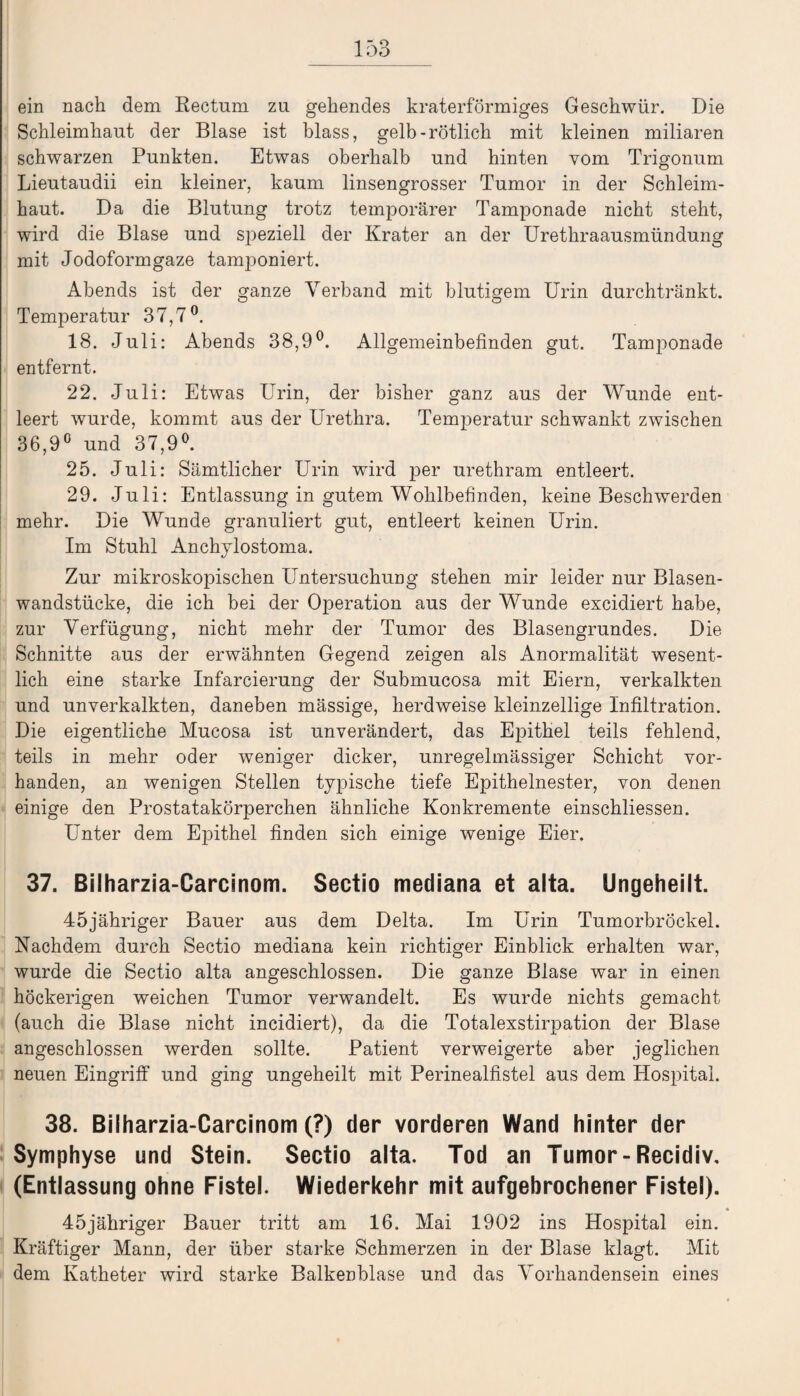 ein nach dem Rectum zu gehendes kraterförmiges Geschwür. Die Schleimhaut der Blase ist blass, gelb-rötlich mit kleinen miliaren schwarzen Punkten. Etwas oberhalb und hinten vom Trigonum Lieutaudii ein kleiner, kaum linsengrosser Tumor in der Schleim¬ haut. Da die Blutung trotz temporärer Tamponade nicht steht, wird die Blase und speziell der Krater an der Urethraausmündung mit Jodoformgaze tamponiert. Abends ist der ganze Verband mit blutigem Urin durchtränkt. Temperatur 37,7°. 18. Juli: Abends 38,9°. Allgemeinbefinden gut. Tamponade entfernt. 22. Juli: Etwas Urin, der bisher ganz aus der Wunde ent¬ leert wurde, kommt aus der Urethra. Temperatur schwankt zwischen 36,9° und 37,9°. 25. Juli: Sämtlicher Urin wird per urethram entleert. 29. Juli: Entlassung in gutem Wohlbefinden, keine Beschwerden mehr. Die Wunde granuliert gut, entleert keinen Urin. Im Stuhl Anchylostoma. Zur mikroskopischen Untersuchung stehen mir leider nur Blasen¬ wandstücke, die ich bei der Operation aus der Wunde excidiert habe, zur Verfügung, nicht mehr der Tumor des Blasengrundes. Die Schnitte aus der erwähnten Gegend zeigen als Anormalität wesent¬ lich eine starke Infarcierung der Submucosa mit Eiern, verkalkten und unverkalkten, daneben mässige, herdweise kleinzellige Infiltration. Die eigentliche Mucosa ist unverändert, das Epithel teils fehlend, teils in mehr oder weniger dicker, unregelmässiger Schicht vor¬ handen, an wenigen Stellen typische tiefe Epithelnester, von denen einige den Prostatakörperchen ähnliche Konkremente einschliessen. Unter dem Epithel finden sich einige wenige Eier. 37. Bilharzia-Carcinom. Sectio mediana et alta. Ungeheilt. 45jähriger Bauer aus dem Delta. Im Urin Tumorbröckel. Nachdem durch Sectio mediana kein richtiger Einblick erhalten war, wurde die Sectio alta angeschlossen. Die ganze Blase war in einen höckerigen weichen Tumor verwandelt. Es wurde nichts gemacht (auch die Blase nicht incidiert), da die Totalexstirpation der Blase angeschlossen werden sollte. Patient verweigerte aber jeglichen neuen Eingriff und ging ungeheilt mit Perinealfistel aus dem Hospital. 38. Bilharzia-Carcinom (?) der vorderen Wand hinter der Symphyse und Stein. Sectio alta. Tod an Tumor-Recidiv, (Entlassung ohne Fistel. Wiederkehr mit aufgebrochener Fistel). 45jähriger Bauer tritt am 16. Mai 1902 ins Hospital ein. Kräftiger Mann, der über starke Schmerzen in der Blase klagt. Mit dem Katheter wird starke Balkenblase und das Vorhandensein eines