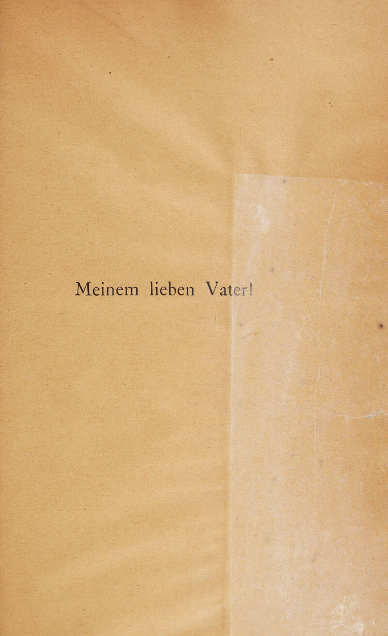 Meinem lieben Vater!