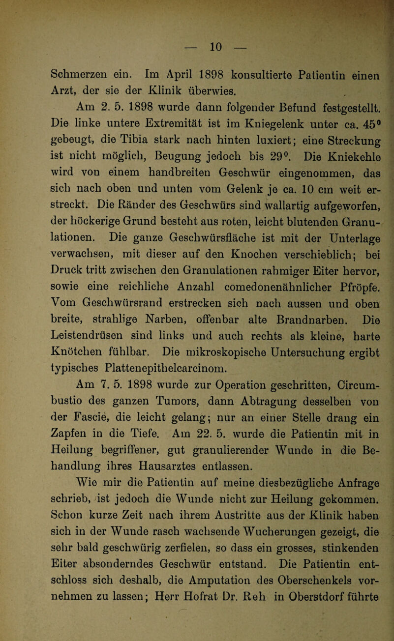 Schmerzen ein. Im April 1898 konsultierte Patientin einen Arzt, der sie der Klinik überwies. Am 2. 5. 1898 wurde dann folgender Befund festgestellt. Die linke untere Extremität ist im Kniegelenk unter ca. 45° gebeugt, die Tibia stark nach hinten luxiert; eine Streckung ist nicht möglich, Beugung jedoch bis 29°. Die Kniekehle wird von einem handbreiten Geschwür eingenommen, das sich nach oben und unten vom Gelenk je ca. 10 cm weit er¬ streckt. Die Ränder des Geschwürs sind wallartig aufgeworfen, der höckerige Grund besteht aus roten, leicht blutenden Granu¬ lationen. Die ganze Geschwürsfläche ist mit der Unterlage verwachsen, mit dieser auf den Knochen verschieblich; bei Druck tritt zwischen den Granulationen rahmiger Eiter hervor, sowie eine reichliche Anzahl comedonenähnlicher Pfropfe. Vom Geschwürsrand erstrecken sich nach aussen und oben breite, strahlige Narben, offenbar alte Brandnarben. Die Leistendrüsen sind links und auch rechts als kleine, harte Knötchen fühlbar. Die mikroskopische Untersuchung ergibt typisches Plattenepithelcarcinom. Am 7. 5. 1898 wurde zur Operation geschritten, Circum- bustio des ganzen Tumors, dann Abtragung desselben von der Fascie, die leicht gelang; nur an einer Stelle drang ein Zapfen in die Tiefe. Am 22. 5. wurde die Patientin mit in Heilung begriffener, gut granulierender Wunde in die Be¬ handlung ihres Hausarztes entlassen. Wie mir die Patientin auf meine diesbezügliche Anfrage schrieb, ist jedoch die Wunde nicht zur Heilung gekommen. Schon kurze Zeit nach ihrem Austritte aus der Klinik haben sich in der Wunde rasch wachsende Wucherungen gezeigt, die sehr bald geschwürig zerfielen, so dass ein grosses, stinkenden Eiter absonderndes Geschwür entstand. Die Patientin ent¬ schloss sich deshalb, die Amputation des Oberschenkels vor¬ nehmen zu lassen; Herr Hofrat Dr. Reh in Oberstdorf führte