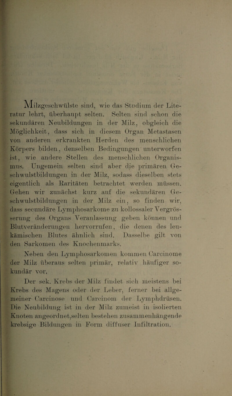 AIilzgeschwülste sind, wie das Studium der Lite¬ ratur lehrt, überhaupt selten. Selten sind schon die sekundären Neubildungen in der Milz, obgleich die Möglichkeit, dass sich in diesem Organ Metastasen von anderen erkrankten Herden des menschlichen Körpers bilden, denselben Bedingungen unterworfen ist, wie andere Stellen des menschlichen Organis¬ mus. Ungemein selten sind aber die primären Ge- schwulstbildungen in der Milz, sodass dieselben stets eigentlich als Raritäten betrachtet werden müssen. Gehen wir zunächst kurz auf die sekundären Ge¬ schwulstbildungen in der Milz ein, so finden wir, dass secundäre Lymphosarkome zu kollossaler Vergrös- serung des Organs Veranlassung geben können und Blutveränderungen liervorrufen, die denen des leu¬ kämischen Blutes ähnlich sind. Dasselbe gilt von den Sarkomen des Knochenmarks. Neben den Lymphosarkomen kommen Carcinome der Milz überaus selten primär, relativ häufiger so- kundär vor. Der sek. Krebs der Milz findet sich meistens bei Krebs des Magens oder der Leber, ferner bei allge¬ meiner Carcinose und Gareinom der Lymphdrüsen. Die Neubildung ist in der Milz zumeist in isolierten Knoten angeordnet,selten bestehen zusammenhängende krebsige Bildungen in Form diffuser Infiltration. O O