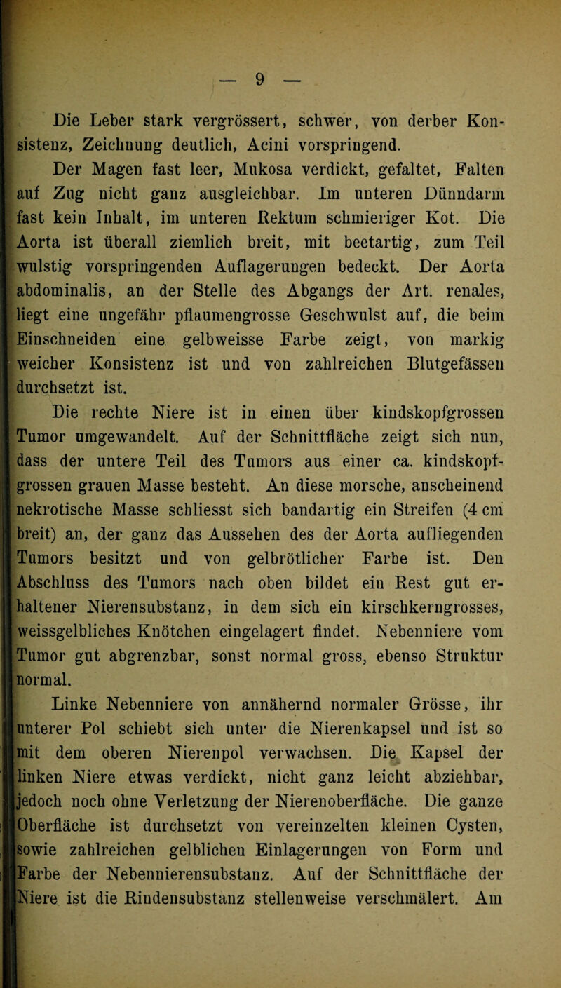 Die Leber stark vergrössert, schwer, von derber Kon¬ sistenz, Zeichnung deutlich, Acini vorspringend. Der Magen fast leer, Mukosa verdickt, gefaltet, Falten auf Zug nicht ganz ausgleichbar. Im unteren Dünndarm fast kein Inhalt, im unteren Rektum schmieriger Kot. Die Aorta ist überall ziemlich breit, mit beetartig, zum Teil wulstig vorspringenden Auflagerungen bedeckt. Der Aorta abdominalis, an der Stelle des Abgangs der Art. renales, liegt eine ungefähr pflaumengrosse Geschwulst auf, die beim Einschneiden eine gelbweisse Farbe zeigt, von markig weicher Konsistenz ist und von zahlreichen Blutgefässen durchsetzt ist. Die rechte Niere ist in einen über kindskopfgrossen Tumor umgewandelt. Auf der Schnittfläche zeigt sich nun, dass der untere Teil des Tumors aus einer ca. kindskopf¬ grossen grauen Masse besteht. An diese morsche, anscheinend nekrotische Masse schliesst sich bandartig ein Streifen (4 cm breit) an, der ganz das Aussehen des der Aorta aufliegenden Tumors besitzt und von gelbrötlicher Farbe ist. Den Abschluss des Tumors nach oben bildet eiu Rest gut er¬ haltener Nierensubstanz, in dem sich ein kirschkerngrosses, weissgelbliches Knötchen eingelagert findet. Nebenniere vom Tumor gut abgrenzbar, sonst normal gross, ebenso Struktur normal. Linke Nebenniere von annähernd normaler Grösse, ihr unterer Pol schiebt sich unter die Nierenkapsel und ist so mit dem oberen Nierenpol verwachsen. Die Kapsel der linken Niere etwas verdickt, nicht ganz leicht abziehbar, jedoch noch ohne Verletzung der Nierenoberfläche. Die ganze |Oberfläche ist durchsetzt von vereinzelten kleinen Cysten, jsowie zahlreichen gelblicheu Einlagerungen von Form und Farbe der Nebennierensubstanz. Auf der Schnittfläche der Niere ist die Rindensubstanz stellenweise verschmälert. Am