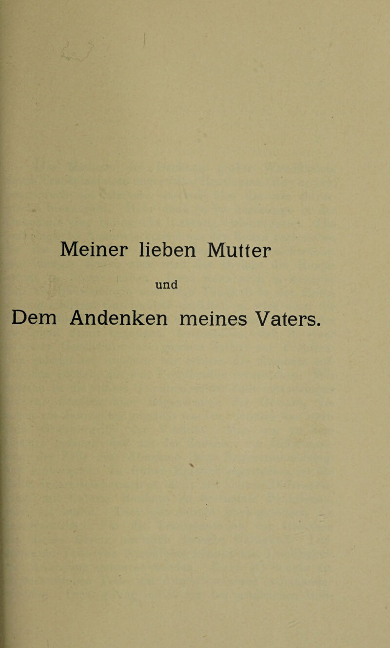 Meiner lieben Mutter und Dem Andenken meines Vaters.