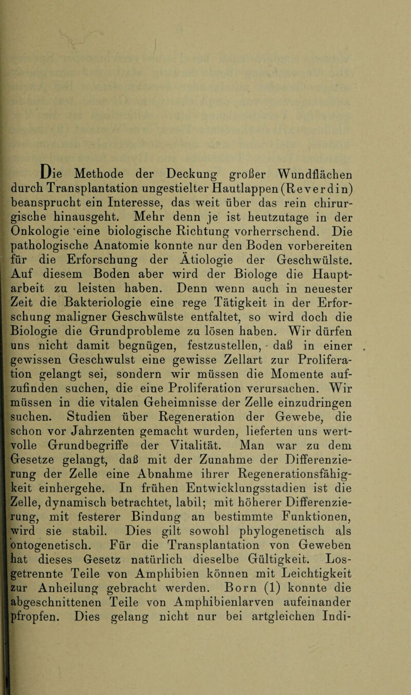 Die Methode der Deckung großer Wundflächen durch Transplantation ungestielter Hautlappen (Rey er d in) beansprucht ein Interesse, das weit über das rein chirur¬ gische hinausgeht. Mehr denn je ist heutzutage in der Onkologie eine biologische Richtung vorherrschend. Die pathologische Anatomie konnte nur den Boden vorbereiten für die Erforschung der Ätiologie der Geschwülste. Auf diesem Boden aber wird der Biologe die Haupt¬ arbeit zu leisten haben. Denn wenn auch in neuester Zeit die Bakteriologie eine rege Tätigkeit in der Erfor¬ schung maligner Geschwülste entfaltet, so wird doch die Biologie die Grundprobleme zu lösen haben. Wir dürfen uns nicht damit begnügen, festzustellen, - daß in einer . gewissen Geschwulst eine gewisse Zellart zur Prolifera¬ tion gelangt sei, sondern wir müssen die Momente auf¬ zufinden suchen, die eine Proliferation verursachen. Wir müssen in die vitalen Geheimnisse der Zelle einzudringen suchen. Studien über Regeneration der Gewebe, die schon vor Jahrzenten gemacht wurden, lieferten uns wert¬ volle Grundbegriffe der Vitalität. Man war zu dem Gesetze gelangt, daß mit der Zunahme der Differenzie¬ rung der Zelle eine Abnahme ihrer Regenerationsfähig¬ keit einhergehe. In frühen Entwicklungsstadien ist die Zelle, dynamisch betrachtet, labil; mit höherer Differenzie¬ rung, mit festerer Bindung an bestimmte Funktionen, wird sie stabil. Dies gilt sowohl phylogenetisch als ontogenetisch. Für die Transplantation von Geweben hat dieses Gesetz natürlich dieselbe Gültigkeit. Los¬ getrennte Teile von Amphibien können mit Leichtigkeit zur Anheilung gebracht werden. Born (1) konnte die abgeschnittenen Teile von Amphibienlarven aufeinander pfropfen. Dies gelang nicht nur bei artgleichen Indi-