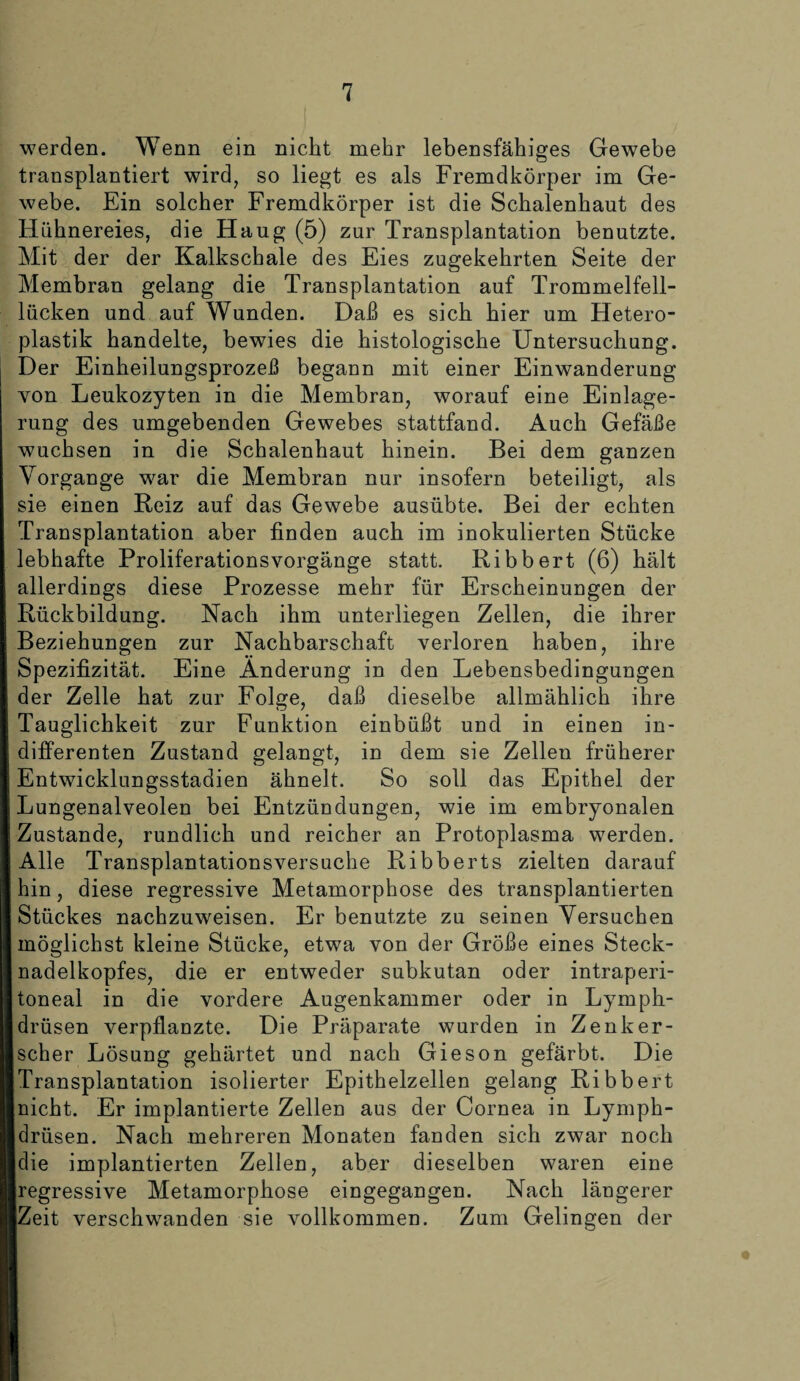 werden. Wenn ein nicht mehr lebensfähiges Gewebe transplantiert wird, so liegt es als Fremdkörper im Ge¬ webe. Ein solcher Fremdkörper ist die Schalenhaut des Hühnereies, die Haug (5) zur Transplantation benutzte. Mit der der Kalkschale des Eies zugekehrten Seite der Membran gelang die Transplantation auf Trommelfell¬ lücken und auf Wunden. Daß es sich hier um Hetero¬ plastik handelte, bewies die histologische Untersuchung. Der Einheilungsprozeß begann mit einer Einwanderung von Leukozyten in die Membran, worauf eine Einlage¬ rung des umgebenden Gewebes stattfand. Auch Gefäße wuchsen in die Schalenhaut hinein. Bei dem ganzen Vorgänge war die Membran nur insofern beteiligt, als sie einen Reiz auf das Gewebe ausübte. Bei der echten Transplantation aber finden auch im inokulierten Stücke lebhafte Proliferationsvorgänge statt. Ribbert (6) hält allerdings diese Prozesse mehr für Erscheinungen der Rückbildung. Nach ihm unterliegen Zellen, die ihrer Beziehungen zur Nachbarschaft verloren haben, ihre Spezifizität. Eine Änderung in den Lebensbedingungen der Zelle hat zur Folge, daß dieselbe allmählich ihre Tauglichkeit zur Funktion einbüßt und in einen in¬ differenten Zustand gelangt, in dem sie Zellen früherer Entwicklungsstadien ähnelt. So soll das Epithel der Lungenalveolen bei Entzündungen, wie im embryonalen Zustande, rundlich und reicher an Protoplasma werden. Alle Transplantationsversuche Ribberts zielten darauf hin, diese regressive Metamorphose des transplantierten Stückes nachzuweisen. Er benutzte zu seinen Versuchen möglichst kleine Stücke, etwa von der Größe eines Steck¬ nadelkopfes, die er entweder subkutan oder intraperi¬ toneal in die vordere Augenkammer oder in Lymph- drüsen verpflanzte. Die Präparate wurden in Zenker¬ scher Lösung gehärtet und nach Gieson gefärbt. Die Transplantation isolierter Epithelzellen gelang Ribbert nicht. Er implantierte Zellen aus der Cornea in Lymph- drüsen. Nach mehreren Monaten fanden sich zwar noch die implantierten Zellen, aber dieselben waren eine [regressive Metamorphose eingegangen. Nach längerer Zeit verschwanden sie vollkommen. Zum Gelingen der