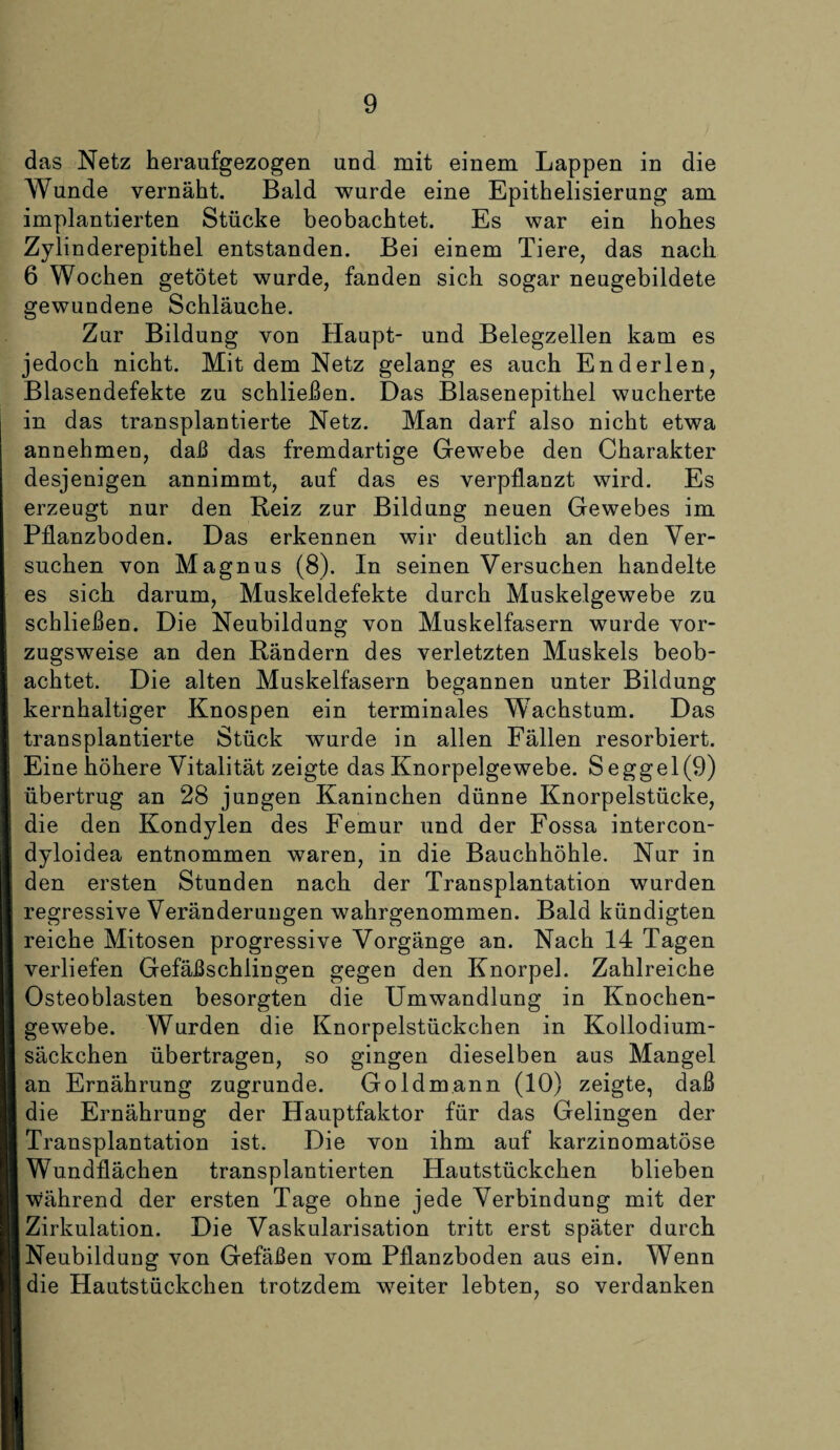 das Netz heraufgezogen und mit einem Lappen in die Wunde vernäht. Bald wurde eine Epithelisierung am implantierten Stücke beobachtet. Es war ein hohes Zylinderepithel entstanden. Bei einem Tiere, das nach 6 Wochen getötet wurde, fanden sich sogar neugebildete gewundene Schläuche. Zur Bildung von Haupt- und Belegzellen kam es jedoch nicht. Mit dem Netz gelang es auch Enderlen, Blasendefekte zu schließen. Das Blasenepithel wucherte in das transplantierte Netz. Man darf also nicht etwa annehmen, daß das fremdartige Gewebe den Charakter desjenigen annimmt, auf das es verpflanzt wird. Es erzeugt nur den Reiz zur Bildung neuen Gewebes im Pflanzboden. Das erkennen wir deutlich an den Ver¬ suchen von Magnus (8). In seinen Versuchen handelte es sich darum, Muskeldefekte durch Muskelgewebe zu schließen. Die Neubildung von Muskelfasern wurde vor¬ zugsweise an den Rändern des verletzten Muskels beob¬ achtet. Die alten Muskelfasern begannen unter Bildung kernhaltiger Knospen ein terminales Wachstum. Das transplantierte Stück wurde in allen Fällen resorbiert. Eine höhere Vitalität zeigte das Knorpelgewebe. Seggel(9) übertrug an 28 jungen Kaninchen dünne Knorpelstücke, die den Kondylen des Femur und der Fossa intercon- dyloidea entnommen waren, in die Bauchhöhle. Nur in den ersten Stunden nach der Transplantation wurden regressive Veränderungen wahrgenommen. Bald kündigten reiche Mitosen progressive Vorgänge an. Nach 14 Tagen verliefen Gefäßschlingen gegen den Knorpel. Zahlreiche Osteoblasten besorgten die Umwandlung in Knochen¬ gewebe. Wurden die Knorpelstückchen in Kollodium¬ säckchen übertragen, so gingen dieselben aas Mangel an Ernährung zugrunde. Goldmann (10) zeigte, daß die Ernährung der Hauptfaktor für das Gelingen der Transplantation ist. Die von ihm auf karzinomatöse Wundflächen transplantierten Hautstückchen blieben während der ersten Tage ohne jede Verbindung mit der Zirkulation. Die Vaskularisation tritt erst später durch Neubildung von Gefäßen vom Pflanzboden aus ein. Wenn die Hautstückchen trotzdem weiter lebten, so verdanken