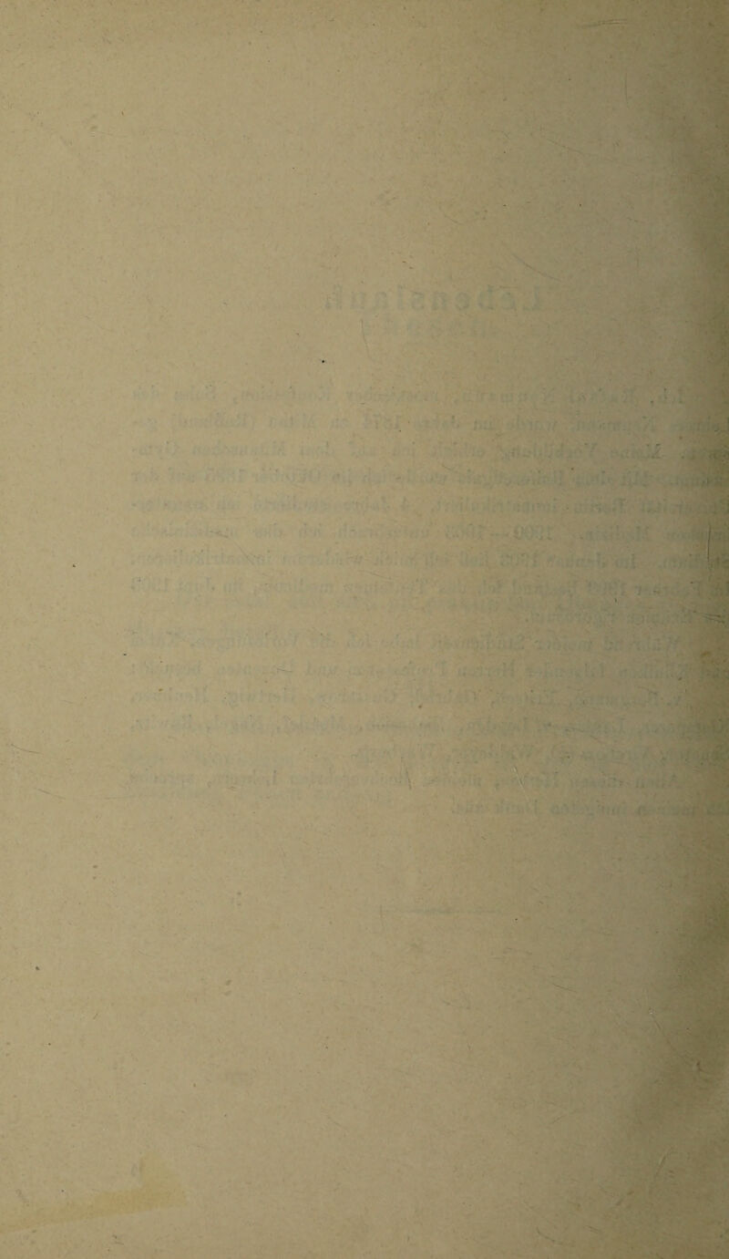 . ~ ' . * ■ ■ * ■ ■ . • : . .j£m -i-l ■ '  *y] . : ^jj •V. • k : •;> a ;<M| • ■ ■ I '■>'1 , ' ■* - ■ ’. - • ^ I ■ V ■mm - * l