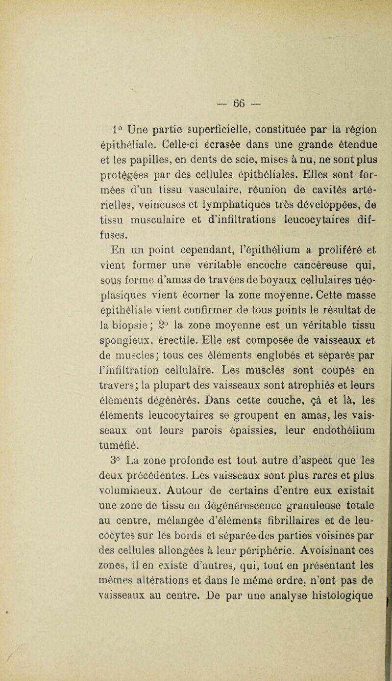 1° Une partie superficielle, constituée par la région épithéliale. Celle-ci écrasée dans une grande étendue et les papilles, en dents de scie, mises à nu, ne sont plus protégées par des cellules épithéliales. Elles sont for¬ mées d’un tissu vasculaire, réunion de cavités arté¬ rielles, veineuses et lymphatiques très développées, de tissu musculaire et d’infiltrations leucocytaires dif¬ fuses. En un point cependant, l’épithélium a proliféré et vient former une véritable encoche cancéreuse qui, sous forme d’amas de travées de boyaux cellulaires néo¬ plasiques vient écorner la zone moyenne. Cette masse épithéliale vient confirmer de tous points le résultat de la biopsie ; 2° la zone moyenne est un véritable tissu spongieux, érectile. Elle est composée de vaisseaux et de muscles; tous ces éléments englobés et séparés par l’infiltration cellulaire. Les muscles sont coupés en travers; la plupart des vaisseaux sont atrophiés et leurs éléments dégénérés. Dans cette couche, çà et là, les éléments leucocytaires se groupent en amas, les vais¬ seaux ont leurs parois épaissies, leur endothélium tuméfié. 3° La zone profonde est tout autre d’aspect que les deux précédentes. Les vaisseaux sont plus rares et plus volumineux. Autour de certains d’entre eux existait une zone de tissu en dégénérescence granuleuse totale au centre, mélangée d’éléments fibrillaires et de leu¬ cocytes sur les bords et séparée des parties voisines par des cellules allongées à leur périphérie. Avoisinant ces zones, il en existe d’autres, qui, tout en présentant les mêmes altérations et dans le même ordre, n’ont pas de vaisseaux au centre. De par une analyse histologique «