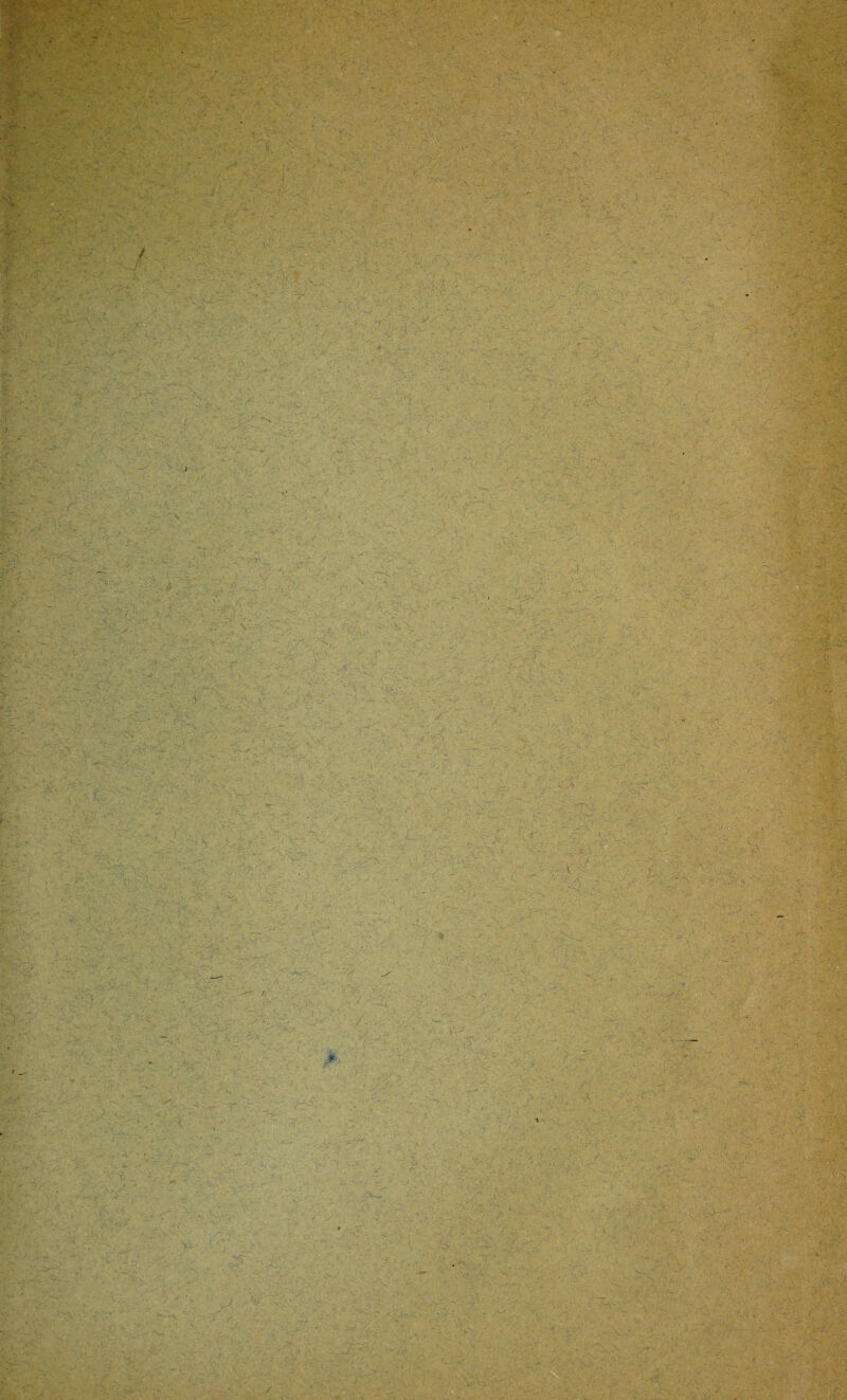 ipv*. . ^ - » . ’t '• w V'