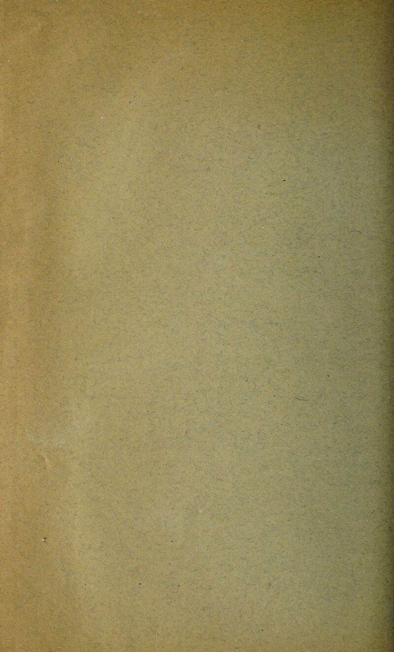 . f - . : ■ . A7' -V ' V , ■ ' ■ ■■ • -■ r„ ■ - ■ . - - - i Zr '••: n-& ’ ■■■ V' - .. =. • : ■ - : ■ : - . ' —■ • < .A- -** •*' A *” N - , - ; - .*r- -, , 3 • ■ ' ■ c ’  ' ' • ' - » : ' * ' W. ■* ‘ i- * --- ¥ - : - r>5, -• • V.-- \ - kIBÊ ■<s$ •• >.* * * .. .' :• ' w ; <\r »=i - ..a:- . 'Vv ■ ' T- ‘if-