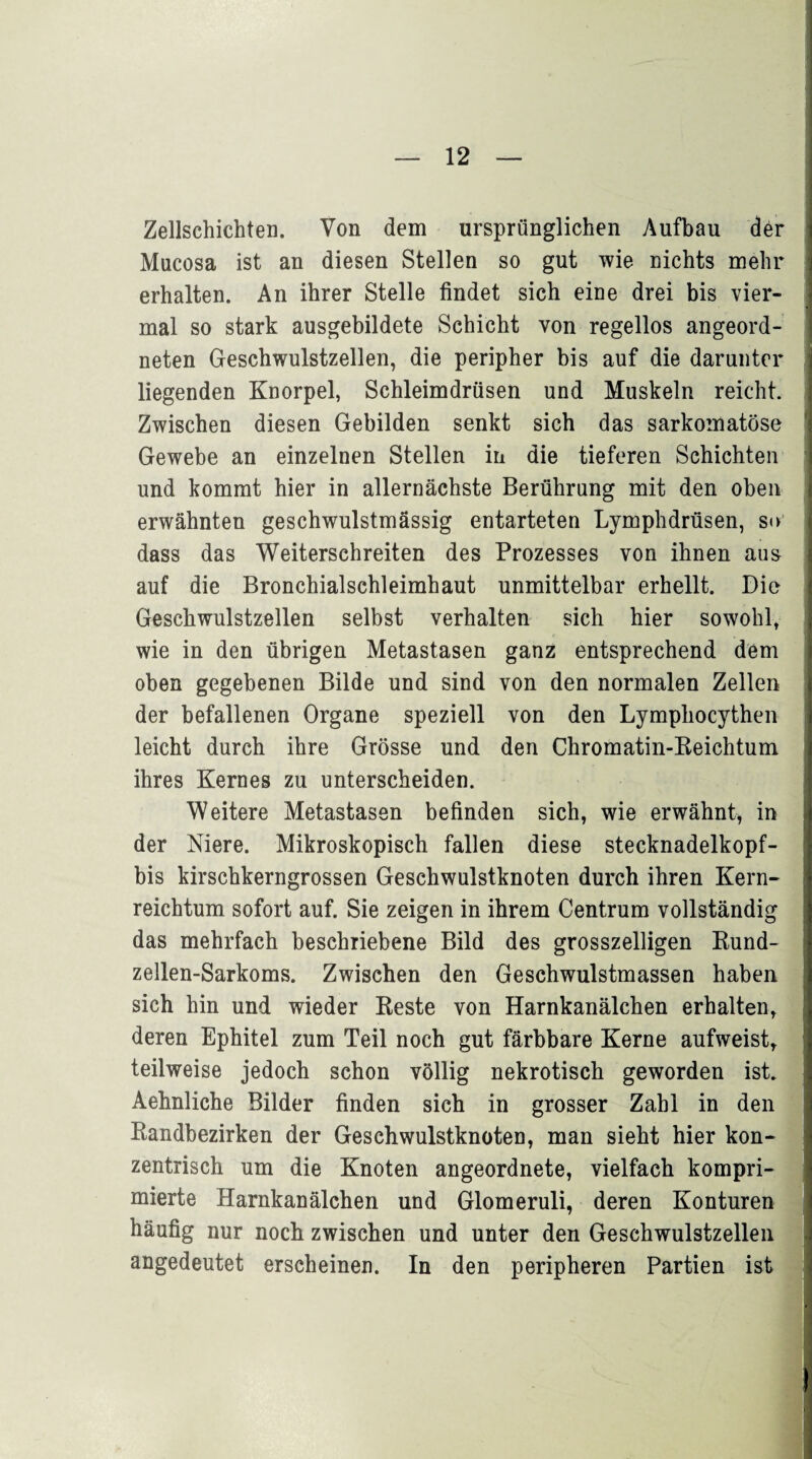 Zellschichten. Von dem ursprünglichen Aufbau dör Mucosa ist an diesen Stellen so gut wie nichts mehr erhalten. An ihrer Stelle findet sich eine drei bis vier¬ mal so stark ausgebildete Schicht von regellos angeord¬ neten Geschwulstzellen, die peripher bis auf die darunter liegenden Knorpel, Schleimdrüsen und Muskeln reicht. Zwischen diesen Gebilden senkt sich das sarkomatöse Gewebe an einzelnen Stellen in die tieferen Schichten und kommt hier in allernächste Berührung mit den oben erwähnten geschwulstmässig entarteten Lymphdrüsen, s<> dass das Weiterschreiten des Prozesses von ihnen aus auf die Bronchialschleimhaut unmittelbar erhellt. Die Geschwulstzellen selbst verhalten sich hier sowohl, wie in den übrigen Metastasen ganz entsprechend dem oben gegebenen Bilde und sind von den normalen Zellen der befallenen Organe speziell von den Lympliocythen leicht durch ihre Grösse und den Chromatin-Reichtum j ihres Kernes zu unterscheiden. Weitere Metastasen befinden sich, wie erwähnt, in der Niere. Mikroskopisch fallen diese stecknadelkopf- bis kirschkerngrossen Geschwulstknoten durch ihren Kern- reichtum sofort auf. Sie zeigen in ihrem Centrum vollständig das mehrfach beschriebene Bild des grosszelligen Rund- zellen-Sarkoms. Zwischen den Geschwulstmassen haben sich hin und wieder Reste von Harnkanälchen erhalten, deren Ephitel zum Teil noch gut färbbare Kerne aufweist, teilweise jedoch schon völlig nekrotisch geworden ist. Aehnliche Bilder finden sich in grosser Zahl in den Randbezirken der Geschwulstknoten, man sieht hier kon¬ zentrisch um die Knoten angeordnete, vielfach kompri¬ mierte Harnkanälchen und Glomeruli, deren Konturen häufig nur noch zwischen und unter den Geschwulstzellen angedeutet erscheinen. In den peripheren Partien ist