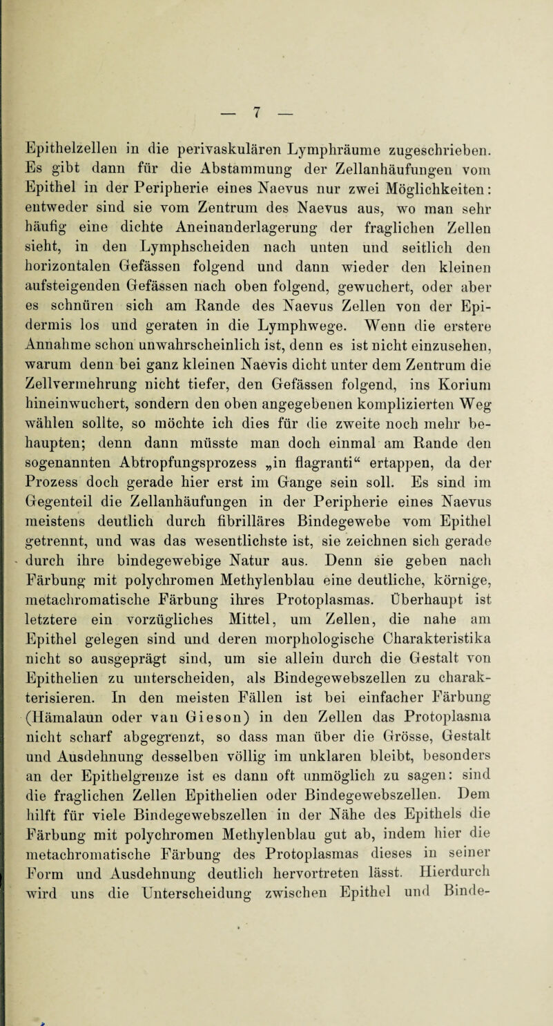 Epithelzellen in die perivaskulären Lymphräume zugeschrieben. Es gibt dann für die Abstammung der Zellanhäufungen vom Epithel in der Peripherie eines Naevus nur zwei Möglichkeiten: entweder sind sie vom Zentrum des Naevus aus, wo man sehr häufig eine dichte Aneinanderlagerung der fraglichen Zellen sieht, in den Lymphscheiden nach unten und seitlich den horizontalen Gefässen folgend und dann wieder den kleinen aufsteigenden Gefässen nach oben folgend, gewuchert, oder aber es schnüren sich am Rande des Naevus Zellen von der Epi¬ dermis los und geraten in die Lymphwege. Wenn die erstere Annahme schon unwahrscheinlich ist, denn es ist nicht einzusehen, warum denn bei ganz kleinen Naevis dicht unter dem Zentrum die Zellvermehrung nicht tiefer, den Gefässen folgend, ins Korium hineinwuchert, sondern den oben angegebenen komplizierten Weg wählen sollte, so möchte ich dies für die zweite noch mehr be¬ haupten; denn dann müsste man doch einmal am Rande den sogenannten Abtropfungsprozess „in flagranti“ ertappen, da der Prozess doch gerade hier erst im Gange sein soll. Es sind im Gegenteil die Zellanhäufungen in der Peripherie eines Naevus meistens deutlich durch fibrilläres Bindegewebe vom Epithel getrennt, und was das wesentlichste ist, sie zeichnen sich gerade - durch ihre bindegewebige Natur aus. Denn sie geben nach Färbung mit polychromen Methylenblau eine deutliche, körnige, metachromatische Färbung ihres Protoplasmas. Überhaupt ist letztere ein vorzügliches Mittel, um Zellen, die nahe am Epithel gelegen sind und deren morphologische Charakteristika nicht so ausgeprägt sind, um sie allein durch die Gestalt von Epithelien zu unterscheiden, als Bindegewebszellen zu charak¬ terisieren. In den meisten Fällen ist bei einfacher Färbung (Hämalaun oder van Gieson) in den Zellen das Protoplasma nicht scharf abgegrenzt, so dass man über die Grösse, Gestalt und Ausdehnung desselben völlig im unklaren bleibt, besonders an der Epithelgrenze ist es dann oft unmöglich zu sagen: sind die fraglichen Zellen Epithelien oder Bindegewebszellen. Dem hilft für viele Bindegewebszellen in der Nähe des Epithels die Färbung mit polychromen Methylenblau gut ab, indem hier die metachromatische Färbung des Protoplasmas dieses in seiner Form und Ausdehnung deutlich hervortreten lässt. Hierdurch wird uns die Unterscheidung zwischen Epithel und Binde- >