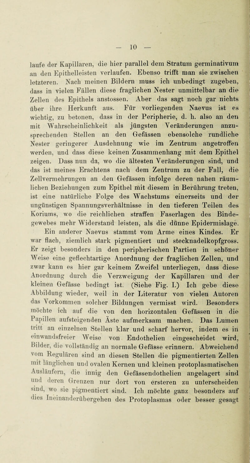 laufe der Kapillaren, die hier parallel dem Stratum germinativum an den Epithelleisten verlaufen. Ebenso trifft man sie zwischen letzteren. Nach meinen Bildern muss ich unbedingt zugeben, dass in vielen Fällen diese fraglichen Nester unmittelbar an die Zellen des Epithels anstossen. Aber das sagt noch gar nichts über ihre Herkunft aus. Für vorliegenden Naevus ist es wichtig, zu betonen, dass in der Peripherie, d. h. also an den mit Wahrscheinlichkeit als jüngsten Yeränderungen anzu¬ sprechenden Stellen an den Gefässen ebensolche rundliche Nester geringerer Ausdehnung wie im Zentrum angetroffen werden, und dass diese keinen Zusammenhang mit dem Epithel zeigen. Dass nun da, wo die ältesten Yeränderungen sind, und das ist meines Erachtens nach dem Zentrum zu der Fall, die Zellvermehrungen an den Gefässen infolge deren nahen räum¬ lichen Beziehungen zum Epithel mit diesem in Berührung treten, ist eine natürliche Folge des Wachstums einerseits und der ungünstigen Spannungsverhältnisse in den tieferen Teilen des Koriums, wo die reichlichen straffen Faserlagen des Binde¬ gewebes mehr Widerstand leisten, als die dünne Epidermislage. Ein anderer Naevus stammt vom Arme eines Kindes. Er war flach, ziemlich stark pigmentiert und stecknadelkopfgross. Er zeigt besonders in den peripherischen Partien in schöner Weise eine geflechtartige Anordnung der fraglichen Zellen, und zwar kann es hier gar keinem Zweifel unterliegen, dass diese Anordnung durch die Yerzweigung der Kapillaren und der kleinen Gefässe bedingt ist. (Siehe Fig. I.) Ich gebe diese Abbildung wieder, weil in der Literatur von vielen Autoren das Yorkommen solcher Bildungen vermisst wird. Besonders möchte ich auf die von den horizontalen Gefässen in die Papillen aufsteigenden Äste aufmerksam machen. Das Lumen tritt an einzelnen Stellen klar und scharf hervor, indem es in einwandsfreier Weise von Endothelien eingescheidet wird, Bilder, die vollständig an normale Gefässe erinnern. Abweichend vom Regulären sind an diesen Stellen die pigmentierten Zellen mit länglichen und ovalen Kernen und kleinen protoplasmatischen Ausläufern, die innig den Gefässendothelien angelagert sind und deren Grenzen nur dort von ersteren zu unterscheiden sind, wo sie pigmentiert sind. Ich möchte ganz besonders auf dies Ineinanderübergehen des Protoplasmas oder besser gesagt