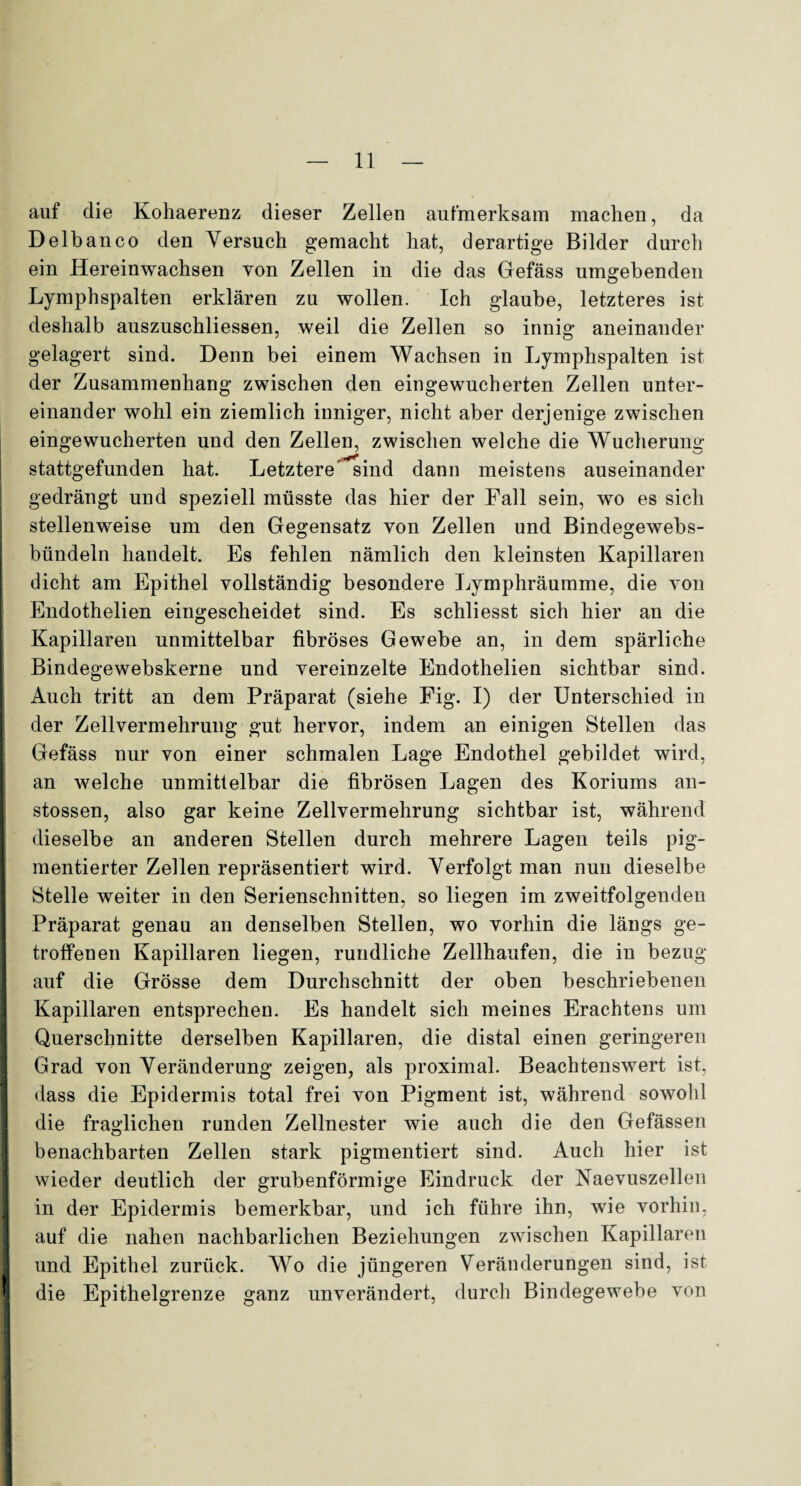auf die Kohaerenz dieser Zellen aufmerksam machen, da Delbanco den Versuch gemacht hat, derartige Bilder durch ein Hereinwachsen von Zellen in die das Gefäss umgebenden Lymphspalten erklären zu wollen. Ich glaube, letzteres ist deshalb auszuschliessen, weil die Zellen so innig aneinander gelagert sind. Denn bei einem Wachsen in Lymphspalten ist der Zusammenhang zwischen den eingewucherten Zellen unter¬ einander wohl ein ziemlich inniger, nicht aber derjenige zwischen eingewucherten und den Zellen, zwischen welche die Wucherung stattgefunden hat. Letztere' sind dann meistens auseinander gedrängt und speziell müsste das hier der Fall sein, wo es sich stellenweise um den Gegensatz von Zellen und Bindegewebs- bündeln handelt. Es fehlen nämlich den kleinsten Kapillaren dicht am Epithel vollständig besondere Lymphräumme, die von Endothelien eingescheidet sind. Es schliesst sich hier an die Kapillaren unmittelbar fibröses Gewebe an, in dem spärliche Bindegewebskerne und vereinzelte Endothelien sichtbar sind. Auch tritt an dem Präparat (siehe Fig. I) der Unterschied in der Zellvermehrung gut hervor, indem an einigen Stellen das Gefäss nur von einer schmalen Lage Endothel gebildet wird, an welche unmittelbar die fibrösen Lagen des Koriums an- stossen, also gar keine Zellvermehrung sichtbar ist, während dieselbe an anderen Stellen durch mehrere Lagen teils pig¬ mentierter Zellen repräsentiert wird. Verfolgt man nun dieselbe Stelle weiter in den Serienschnitten, so liegen im zweitfolgenden Präparat genau an denselben Stellen, wo vorhin die längs ge¬ troffenen Kapillaren liegen, rundliche Zellhaufen, die in bezug auf die Grösse dem Durchschnitt der oben beschriebenen Kapillaren entsprechen. Es handelt sich meines Erachtens um Querschnitte derselben Kapillaren, die distal einen geringeren Grad von Veränderung zeigen, als proximal. Beachtenswert ist, dass die Epidermis total frei von Pigment ist, während sowohl die fraglichen runden Zellnester wie auch die den Gefässen benachbarten Zellen stark pigmentiert sind. Auch hier ist wieder deutlich der grubenförmige Eindruck der Naevuszellen in der Epidermis bemerkbar, und ich führe ihn, wie vorhin, auf die nahen nachbarlichen Beziehungen zwischen Kapillaren und Epithel zurück. Wo die jüngeren Veränderungen sind, ist die Epithelgrenze ganz unverändert, durch Bindegewebe von