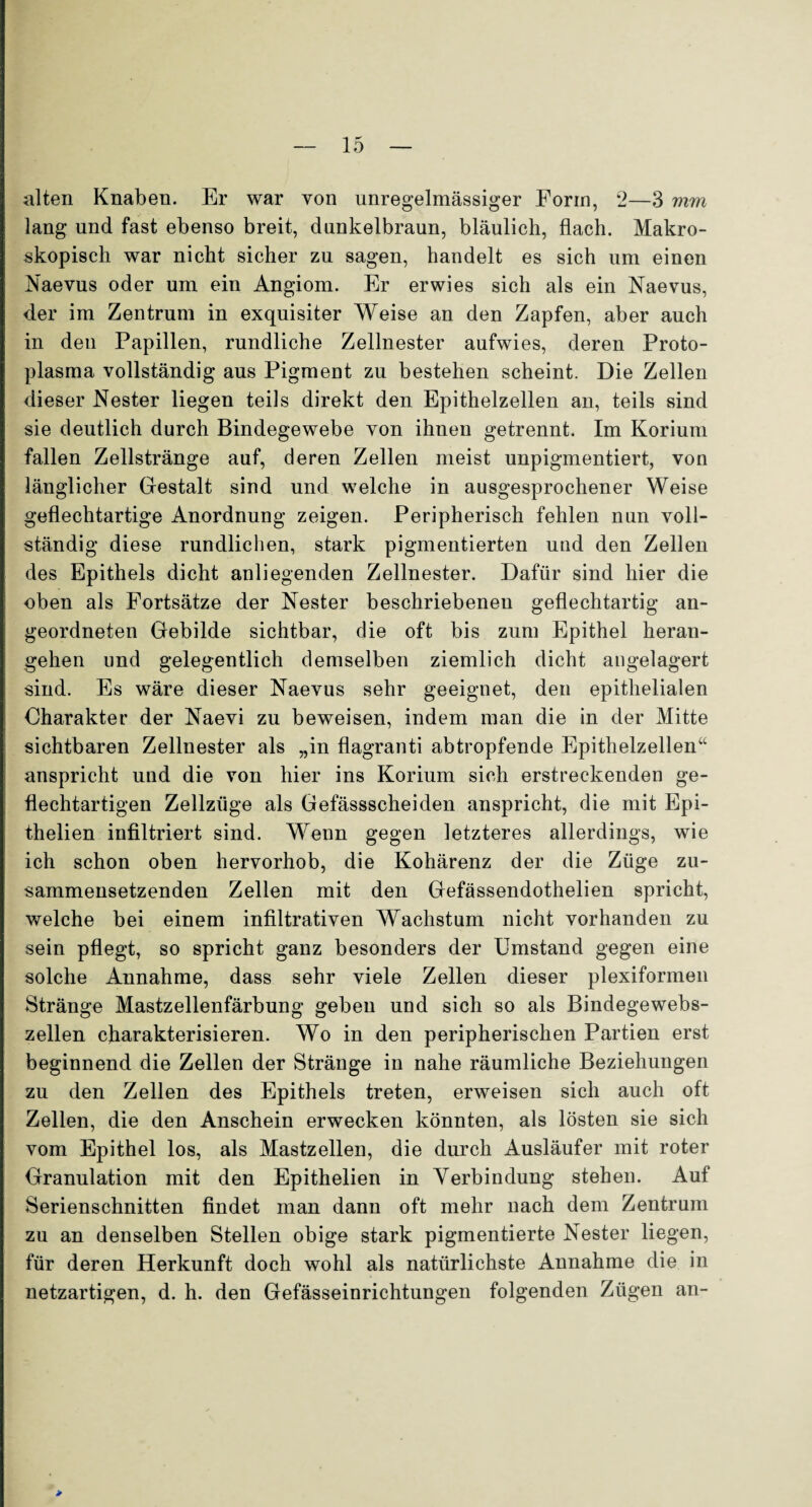 alten Knaben. Er war von unregelmässiger Form, 2—3 mm lang und fast ebenso breit, dunkelbraun, bläulich, flach. Makro¬ skopisch war nicht sicher zu sagen, handelt es sich um einen Naevus oder um ein Angiom. Er erwies sich als ein Naevus, der im Zentrum in exquisiter Weise an den Zapfen, aber auch in den Papillen, rundliche Zellnester aufwies, deren Proto¬ plasma vollständig aus Pigment zu bestehen scheint. Die Zellen dieser Nester liegen teils direkt den Epithelzellen an, teils sind sie deutlich durch Bindegewebe von ihnen getrennt. Im Korium fallen Zellstränge auf, deren Zellen meist unpigmentiert, von länglicher Gestalt sind und welche in ausgesprochener Weise geflechtartige Anordnung zeigen. Peripherisch fehlen nun voll¬ ständig diese rundlichen, stark pigmentierten und den Zellen des Epithels dicht anliegenden Zellnester. Dafür sind hier die oben als Fortsätze der Nester beschriebenen geflechtartig an¬ geordneten Gebilde sichtbar, die oft bis zum Epithel heran- gehen und gelegentlich demselben ziemlich dicht angelagert sind. Es wäre dieser Naevus sehr geeignet, den epithelialen Charakter der Naevi zu beweisen, indem man die in der Mitte sichtbaren Zellnester als „in flagranti abtropfende Epithelzellen“ anspricht und die von hier ins Korium sich erstreckenden ge¬ flechtartigen Zellzüge als Gefässscheiden anspricht, die mit Epi- thelien infiltriert sind. Wenn gegen letzteres allerdings, wie ich schon oben hervorhob, die Kohärenz der die Züge zu¬ sammensetzenden Zellen mit den Gefässendothelien spricht, welche bei einem infiltrativen Wachstum nicht vorhanden zu sein pflegt, so spricht ganz besonders der Umstand gegen eine solche Annahme, dass sehr viele Zellen dieser plexiformen Stränge Mastzellenfärbung geben und sich so als Bindegewebs¬ zellen charakterisieren. Wo in den peripherischen Partien erst beginnend die Zellen der Stränge in nahe räumliche Beziehungen zu den Zellen des Epithels treten, erweisen sich auch oft Zellen, die den Anschein erwecken könnten, als lösten sie sich vom Epithel los, als Mastzellen, die durch Ausläufer mit roter Granulation mit den Epithelien in Verbindung stehen. Auf Serienschnitten findet man dann oft mehr nach dem Zentrum zu an denselben Stellen obige stark pigmentierte Nester liegen, für deren Herkunft doch wohl als natürlichste Annahme die in netzartigen, d. h. den Gefässeinrichtungen folgenden Zügen an- *