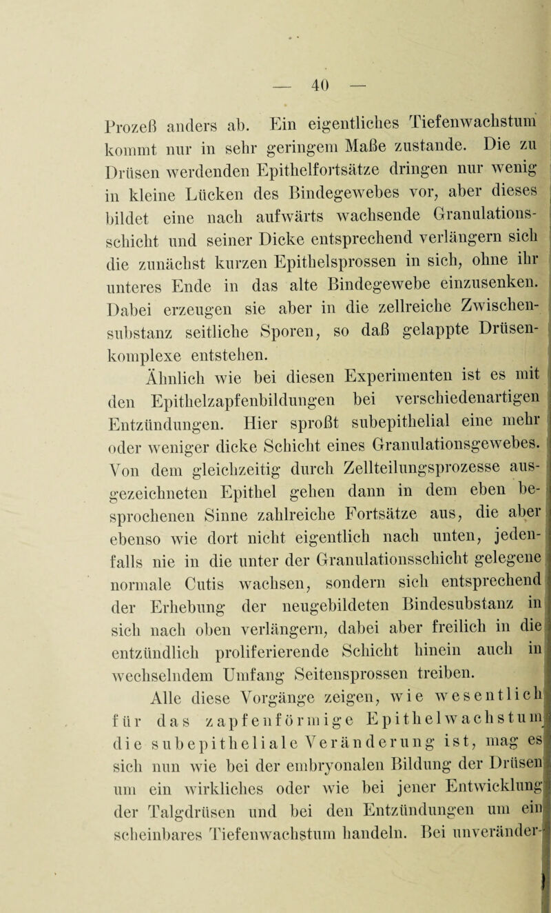 Prozeß anders ab. Ein eigentliches Tiefenwachstum kommt nur in sehr geringem Maße zustande. Die zu Drüsen werdenden Epithelfortsätze dringen nur wenig in kleine Lücken des Bindegewebes vor, aber dieses . bildet eine nach aufwärts wachsende Granulations¬ schicht und seiner Dicke entsprechend verlängern sich die zunächst kurzen Epithelsprossen in sich, ohne ihr unteres Ende in das alte Bindegewebe einzusenken. Dabei erzeugen sie aber in die zellreiche Zwischen¬ substanz seitliche Sporen, so daß gelappte Drüsen¬ komplexe entstehen. Ähnlich wie bei diesen Experimenten ist es mit den Epithelzapfenbildungen bei verschiedenartigen Entzündungen. Hier sproßt subepithelial eine mehr oder weniger dicke Schicht eines Granulationsgewebes. Von dem gleichzeitig durch Zellteilungsprozesse aus¬ gezeichneten Epithel gehen dann in dem eben be¬ sprochenen Sinne zahlreiche Fortsätze aus, die aber ebenso wie dort nicht eigentlich nach unten, jeden¬ falls nie in die unter der Granulationsschicht gelegene normale Cutis wachsen, sondern sich entsprechend der Erhebung der neugebildeten Bindesubstanz in sich nach oben verlängern, dabei aber freilich in die entzündlich proliferierende Schicht hinein auch in wechselndem Umfang Seitensprossen treiben. Alle diese Vorgänge zeigen, wie wesentlich für das zapfen förmige Epithelwachstu m die subepitheliale Veränderung ist, mag es sich nun wie bei der embryonalen Bildung der Drüsen um ein wirkliches oder wie bei jener Entwicklung der Talgdrüsen und bei den Entzündungen um ein scheinbares Tiefenwachstum handeln. Bei unverändert