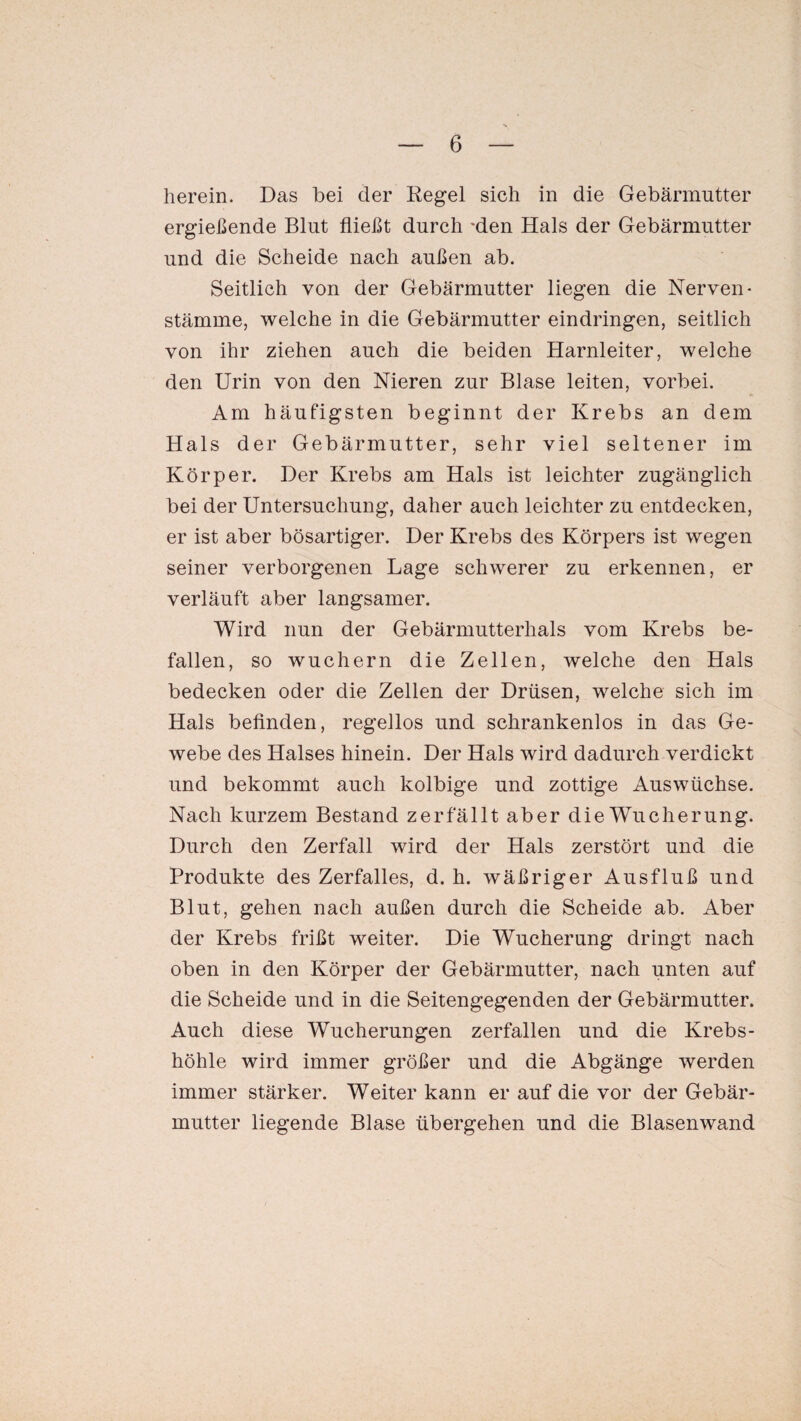 herein. Das bei der Regel sich in die Gebärmutter ergießende Blut fließt durch 'den Hals der Gebärmutter und die Scheide nach außen ab. Seitlich von der Gebärmutter liegen die Nerven* Stämme, welche in die Gebärmutter eindringen, seitlich von ihr ziehen auch die beiden Harnleiter, welche den Urin von den Nieren zur Blase leiten, vorbei. Am häufigsten beginnt der Krebs an dem Hals der Gebärmutter, sehr viel seltener im Körper. Der Krebs am Hals ist leichter zugänglich bei der Untersuchung, daher auch leichter zu entdecken, er ist aber bösartiger. Der Krebs des Körpers ist wegen seiner verborgenen Lage schwerer zu erkennen, er verläuft aber langsamer. Wird nun der Gebärmutterhals vom Krebs be¬ fallen, so wuchern die Zellen, welche den Hals bedecken oder die Zellen der Drüsen, welche sich im Hals befinden, regellos und schrankenlos in das Ge¬ webe des Halses hinein. Der Hals wird dadurch verdickt und bekommt auch kolbige und zottige Auswüchse. Nach kurzem Bestand zerfallt aber die Wucherung. Durch den Zerfall wird der Hals zerstört und die Produkte des Zerfalles, d. h. wäßriger Ausfluß und Blut, gehen nach außen durch die Scheide ab. Aber der Krebs frißt weiter. Die Wucherung dringt nach oben in den Körper der Gebärmutter, nach unten auf die Scheide und in die Seitengegenden der Gebärmutter. Auch diese Wucherungen zerfallen und die Krebs¬ höhle wird immer größer und die Abgänge werden immer stärker. Weiter kann er auf die vor der Gebär¬ mutter liegende Blase übergehen und die Blasenwand