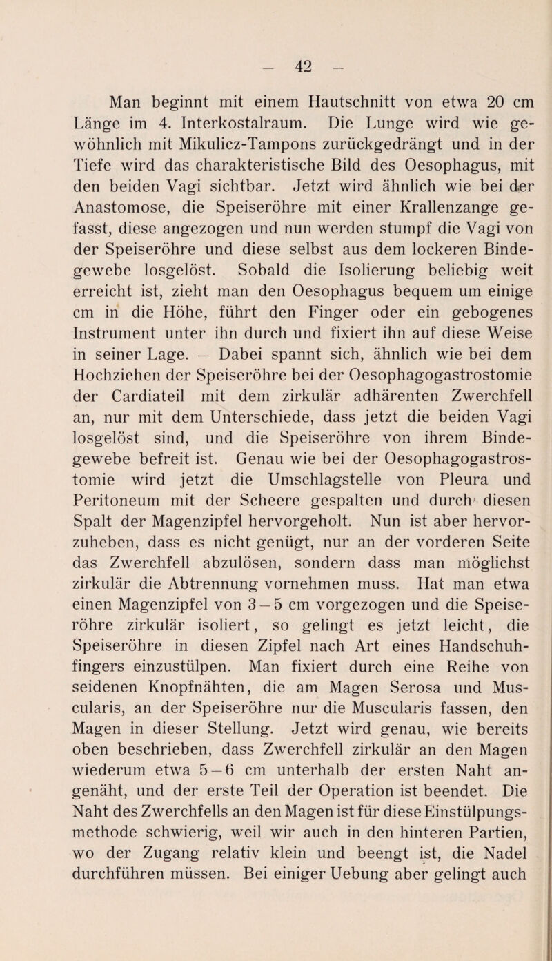 Man beginnt mit einem Hautschnitt von etwa 20 cm Länge im 4. Interkostalraum. Die Lunge wird wie ge¬ wöhnlich mit Mikulicz-Tampons zurückgedrängt und in der Tiefe wird das charakteristische Bild des Oesophagus, mit den beiden Vagi sichtbar. Jetzt wird ähnlich wie bei der Anastomose, die Speiseröhre mit einer Krallenzange ge¬ fasst, diese angezogen und nun werden stumpf die Vagi von der Speiseröhre und diese selbst aus dem lockeren Binde¬ gewebe losgelöst. Sobald die Isolierung beliebig weit erreicht ist, zieht man den Oesophagus bequem um einige cm in die Höhe, führt den Finger oder ein gebogenes Instrument unter ihn durch und fixiert ihn auf diese Weise in seiner Lage. — Dabei spannt sich, ähnlich wie bei dem Hochziehen der Speiseröhre bei der Oesophagogastrostomie der Cardiateil mit dem zirkulär adhärenten Zwerchfell an, nur mit dem Unterschiede, dass jetzt die beiden Vagi losgelöst sind, und die Speiseröhre von ihrem Binde¬ gewebe befreit ist. Genau wie bei der Oesophagogastros¬ tomie wird jetzt die Umschlagstelle von Pleura und Peritoneum mit der Scheere gespalten und durch' diesen Spalt der Magenzipfel hervorgeholt. Nun ist aber hervor¬ zuheben, dass es nicht genügt, nur an der vorderen Seite das Zwerchfell abzulösen, sondern dass man möglichst zirkulär die Abtrennung vornehmen muss. Hat man etwa einen Magenzipfel von 3 —5 cm vorgezogen und die Speise¬ röhre zirkulär isoliert, so gelingt es jetzt leicht, die Speiseröhre in diesen Zipfel nach Art eines Handschuh¬ fingers einzustülpen. Man fixiert durch eine Reihe von seidenen Knopfnähten, die am Magen Serosa und Mus- cularis, an der Speiseröhre nur die Muscularis fassen, den Magen in dieser Stellung. Jetzt wird genau, wie bereits oben beschrieben, dass Zwerchfell zirkulär an den Magen wiederum etwa 5 — 6 cm unterhalb der ersten Naht an¬ genäht, und der erste Teil der Operation ist beendet. Die Naht des Zwerchfells an den Magen ist für diese Einstülpungs¬ methode schwierig, weil wir auch in den hinteren Partien, wo der Zugang relativ klein und beengt ist, die Nadel durchführen müssen. Bei einiger Uebung aber gelingt auch