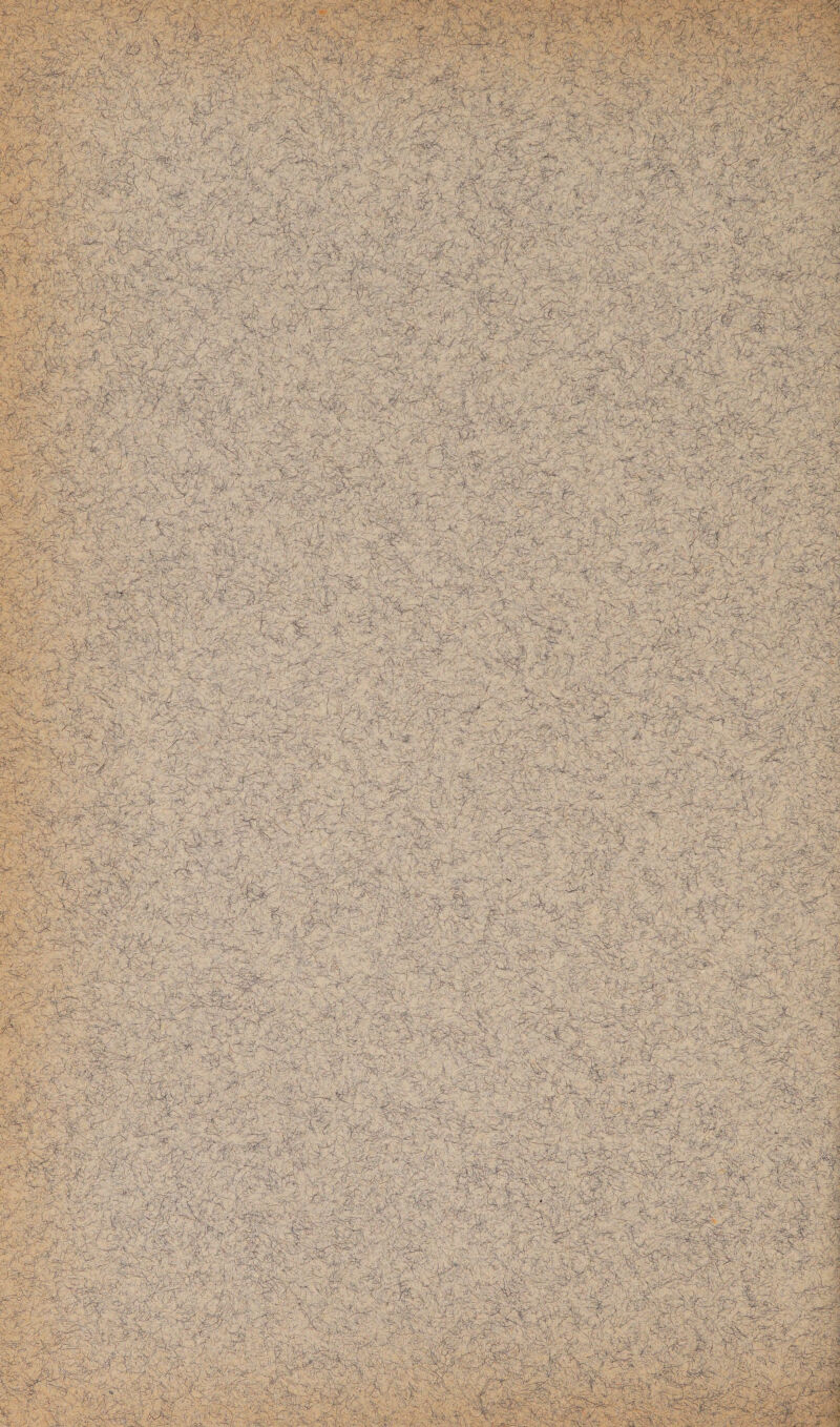 - , • v ../y W« •>if ; ■ jj'fw 's.- v ‘vv^V: *£;•' . :^X , ^?$ä& I jß4- & ßr ■',^' MMf J^ fT/ *■ ;-; ; p ‘r'-r&H i\ or^'%' •.'fV- ’rsO^v I' VH- •- ^ *4/s Hü v-vt-/'<•> fe©fe ;|}M Sfei&S; kfW '-jä&- '•'• lic > •-> ••' X c?i • 'Vt>-:- > >5 iPl