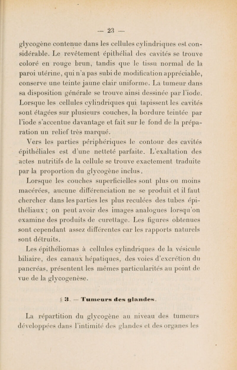 glycogène contenue dans les cellules cylindriques est con¬ sidérable. Le revêtement épithélial des cavités se trouve coloré en rouge brun, tandis que le tissu normal de la paroi utérine, qui n’a pas subi de modification appréciable, conserve une teinte jaune clair uniforme. La tumeur dans sa disposition générale se trouve ainsi dessinée par l’iode. Lorsque les cellules cylindriques qui tapissent les cavités sont étagées sur plusieurs couches, la bordure teintée par l iode s’accentue davantage et fait sur le fond de la prépa¬ ration un relief très marqué. Vers les parties périphériques le contour des cavités épithéliales est d’une netteté parfaite. L exaltation des actes nutritifs de la cellule se trouve exactement traduite par la proportion du glycogène inclus. Lorsque les couches superficielles sont plus ou moins macérées, aucune différenciation ne se produit et il faut chercher dans les parties les plus reculées des tubes épi¬ théliaux ; on peut avoir des images analogues lorsqu’on examine des produits de curettage. Les figures obtenues sont cependant assez différentes car les rapports naturels sont détruits. Les épithéliomas à cellules cylindriques de la vésicule biliaire, des canaux hépatiques, des voies d’excrétion du pancréas, présentent les mêmes particularités au point de vue de la glycogenèse. ^ U. — Tumeur» îles glandes. La répartition du glycogène au niveau des tumeurs développées dans l’intimité des glandes et des organes les