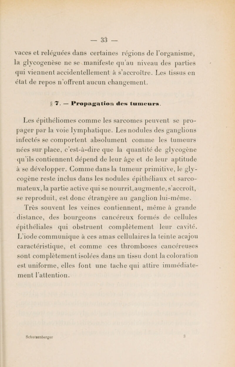 vaces et reléguées dans certaines régions de l'organisme, la glycogenèse ne senmanifeste qu'au niveau des parties qui viennent accidentellement à s’accroître. Les tissus en état de repos n’offrent aucun changement. § H. — Propagation «les tumeurs. Les épithéliomes comme les sarcomes peuvent se pro¬ pager par la voie lymphatique. Les nodules des ganglions infectés se comportent absolument comme les tumeurs nées sur place, c’est-à-dire que la quantité de glycogène qu’ils contiennent dépend de leur âge et de leur aptitude à se développer. Comme dans la tumeur primitive, le gly¬ cogène reste inclus dans les nodules épithéliaux et sarco¬ mateux, la partie active qui se nourrit,augmente, s’accroît, se reproduit, est donc étrangère au ganglion lui-même. Très souvent les veines contiennent, même à grande distance, des bourgeons cancéreux formés de cellules épithéliales qui obstruent complètement leur cavité. L'iode communique à ces amas cellulaires la teinte acajou caractéristique, et comme ces thromboses cancéreuses sont complètement isolées dans un tissu dont la coloration est uniforme, elles font une tache qui attire immédiate¬ ment l'attention. SchtHzenberger 3