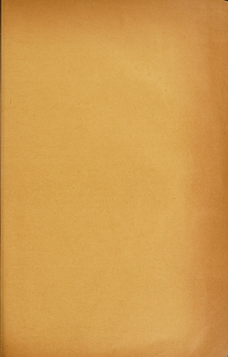 . ••• • . ■' . - • • ' ' • •• * 1 • ,'^r • • '• V- - V . ■ . ' . - /<■ . ' ' - •-'•v ' • ' < ’JX ; *■ /<' ✓ ' ' • • ' ' -t ■■■■■• V • . . . . r ' -CV:- i V/t £$ . - | ■ ■ ■ . - - -. . - ■ ■- . - •- . ■ - ; * • Ä -■ X - ■ - ■ ■ - : ■ ' • ■ . ‘ ' ' * ? U ^ 5 ■ • , - - ' : *• »x ' \ ->■/