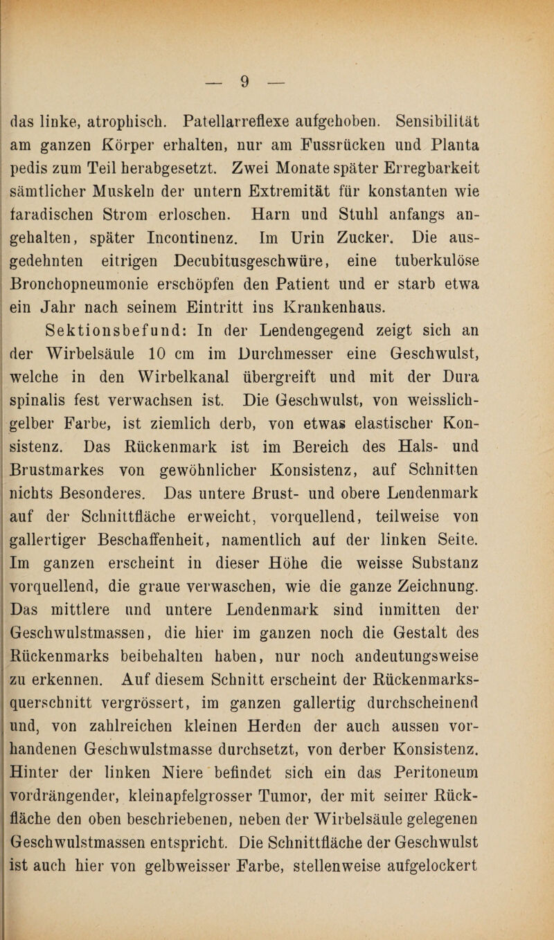 das linke, atrophisch. Patellarreflexe aufgehoben. Sensibilität am ganzen Körper erhalten, nur am Fussrücken und Planta pedis zum Teil herabgesetzt. Zwei Monate später Erregbarkeit sämtlicher Muskeln der untern Extremität für konstanten wie faradischen Strom erloschen. Harn und Stuhl anfangs an¬ gehalten, später Incontinenz. Im Urin Zucker. Die aus¬ gedehnten eitrigen Decubitusgeschwüre, eine tuberkulöse Bronchopneumonie erschöpfen den Patient und er starb etwa ein Jahr nach seinem Eintritt ins Krankenhaus. Sektionsbefund: In der Lendengegend zeigt sich an der Wirbelsäule 10 cm im Durchmesser eine Geschwulst, welche in den Wirbelkanal übergreift und mit der Dura spinalis fest verwachsen ist. Die Geschwulst, von weisslich- gelber Farbe, ist ziemlich derb, von etwas elastischer Kon¬ sistenz. Das Rückenmark ist im Bereich des Hals- und Brustmarkes von gewöhnlicher Konsistenz, auf Schnitten nichts Besonderes. Das untere Brust- und obere Lendenmark auf der Schnittfläche erweicht, vorquellend, teilweise von gallertiger Beschaffenheit, namentlich auf der linken Seite. Im ganzen erscheint in dieser Höhe die weisse Substanz vorquellend, die graue verwaschen, wie die ganze Zeichnung. Das mittlere und untere Lendenmark sind inmitten der Geschwulstmassen, die hier im ganzen noch die Gestalt des Rückenmarks beibehalten haben, nur noch andeutungsweise zu erkennen. Auf diesem Schnitt erscheint der Rückenmarks¬ querschnitt vergrössert, im ganzen gallertig durchscheinend und, von zahlreichen kleinen Herden der auch aussen vor¬ handenen Geschwulstmasse durchsetzt, von derber Konsistenz. Hinter der linken Niere befindet sich ein das Peritoneum vordrängender, kleinapfelgrosser Tumor, der mit seiner Rück¬ fläche den oben beschriebenen, neben der Wirbelsäule gelegenen Geschwulstmassen entspricht. Die Schnittfläche der Geschwulst ist auch hier von gelbweisser Farbe, stellenweise aufgelockert