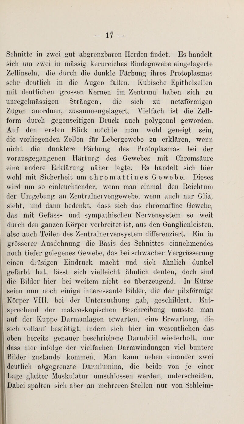 - 11 — Schnitte in zwei gut abgrenzbaren Herden findet. Es handelt sich um zwei in massig kernreiches Bindegewebe eingelagerte Zellinseln, die durch die dunkle Färbung ihres Protoplasmas sehr deutlich in die Augen fallen. Kubische Epithelzellen mit deutlichen grossen Kernen im Zentrum haben sich zu unregelmässigen Strängen, die sich zu netzförmigen Zügen anordnen, zusammengelagert. Vielfach ist die Zell¬ form durch gegenseitigen Druck auch polygonal geworden. Auf den ersten Blick möchte man wohl geneigt sein, die vorliegenden Zellen für Lebergewebe zu erklären, wenn nicht die dunklere Färbung des Protoplasmas bei der vorausgegangenen Härtung des Gewebes mit Chromsäure eine andere Erklärung näher legte. Es handelt sich hier wohl mit Sicherheit um chromaffines Gewebe. Dieses wird um so einleuchtender, wenn man einmal den Reichtum der Umgebung an Zentralnervengewebe, wenn auch nur Glia, sieht, und dann bedenkt, dass sich das chromaffine Gewebe, das mit Gefäss- und sympathischen Nervensystem so weit durch den ganzen Körper verbreitet ist, aus den Ganglienleisten, also auch Teilen des Zentralnervensystem differenziert. Ein in grösserer Ausdehnung die Basis des Schnittes einnehmendes noch tiefer gelegenes Gewebe, das bei schwacher Vergrösserung einen drüsigen Eindruck macht und sich ähnlich dunkel gefärbt hat, lässt sich vielleicht ähnlich deuten, doch sind die Bilder hier bei weitem nicht so überzeugend. In Kürze seien nun noch einige interessante Bilder, die der pilzförmige Körper VIII. bei der Untersuchung gab, geschildert. Ent¬ sprechend der makroskopischen Beschreibung musste man auf der Kuppe Darmanlagen erwarten, eine Erwartung, die sich vollauf bestätigt, indem sich hier im wesentlichen das oben bereits genauer beschriebene Darmbild wiederholt, nur dass hier infolge der vielfachen Darmwindungen viel buntere Bilder zustande kommen. Man kann neben einander zwei deutlich abgegrenzte Darmlumina, die beide von je einer Lage glatter Muskulatur umschlossen werden, unterscheiden. Dabei spalten sich aber an mehreren Stellen nur von Schleim-