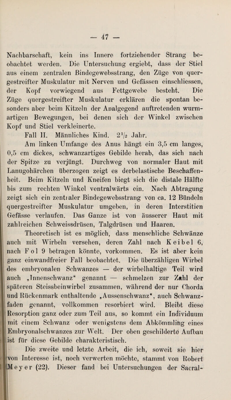 Nachbarschaft, kein ins Innere fortziehender Strang be¬ obachtet weiden. Die Untersuchung ergiebt, dass der Stiel aus einem zentralen ßindegewebsstrang, den Züge von quer¬ gestreifter Muskulatur mit Nerven und Gefässen einschliessen, der Kopf vorwiegend aus Fettgewebe besteht. Die Züge quergestreifter Muskulatur erklären die spontan be¬ sonders aber beim Kitzeln der Analgegend auftretenden wurm¬ artigen Bewegungen, bei denen sich der Winkel zwischen Kopf und Stiel verkleinerte. Fall II. Männliches Kind. 2,/a Jahr. Am linken Umfange des Anus hängt ein 3,5 cm langes, 0,5 cm dickes, schwanzartiges Gebilde herab, das sich nach der Spitze zu verjüngt. Durchweg von normaler Haut mit Lanugohärchen überzogen zeigt es derbelastische Beschaffen¬ heit. Beim Kitzeln und Kneifen biegt sich die distale Hälfte bis zum rechten Winkel ventralwärts ein. Nach Abtragung zeigt sich ein zentialer ßindegewebsstrang von ca. 12 Bündeln quergestreifter Muskulatur umgeben, in deren Interstitien Gefässe verlaufen. Das Ganze ist von äusserer Haut mit zahlreichen Schweissdrüsen, Talgdrüsen und Haaren. Theoretisch ist es möglich, dass menschliche Schwänze auch mit Wirbeln versehen, deren Zahl nach K ei bei 6, nach F o 1 9 betragen könnte, Vorkommen. Es ist aber kein ganz einwandfreier Fall beobachtet. Die überzähligen Wirbel Ides embryonalen Schwanzes — der wirbelhaltige Teil wird auch „Tnnenschwanz“ genannt — schmelzen zur Zahl der späteren Steissbeinwirbel zusammen, während der nur Chorda und Rückenmark enthaltende „Aussenschwänz“, auch Schwanz¬ faden genannt, vollkommen resorbiert wird. Bleibt diese Resorption ganz oder zum Teil aus, so kommt ein Individuum mit einem Schwanz oder wenigstens dem Abkömmling eines Embryonalschwanzes zur Welt. Der oben geschilderte Aufbau ist für diese Gebilde charakteristisch. Die zweite und letzte Arbeit, die ich, soweit sie hier von Interesse ist, noch verwerten möchte, stammt von Robert Meyer (22). Dieser fand bei Untersuchungen der Sacral-
