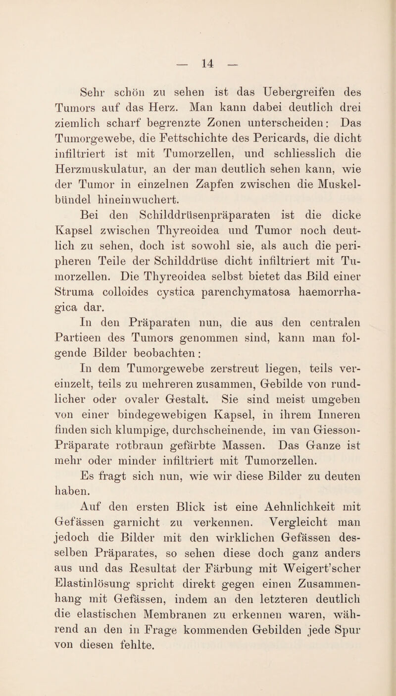 Sehr schön zu sehen ist das Uebergreifen des Tumors auf das Herz. Man kann dabei deutlich drei ziemlich scharf begrenzte Zonen unterscheiden: Das Tumorgewebe, die Fettschichte des Pericards, die dicht infiltriert ist mit Tumorzellen, und schliesslich die Herzmuskulatur, an der man deutlich sehen kann, wie der Tumor in einzelnen Zapfen zwischen die Muskel- btindel hineinwuchert. Bei den Schilddrüsenpräparaten ist die dicke Kapsel zwischen Thyreoidea und Tumor noch deut¬ lich zu sehen, doch ist sowohl sie, als auch die peri¬ pheren Teile der Schilddrüse dicht infiltriert mit Tu¬ morzellen. Die Thyreoidea selbst bietet das Bild einer Struma colloides cystica parenchymatosa haemorrha- gica dar. In den Präparaten nun, die aus den centralen Partieen des Tumors genommen sind, kann man fol¬ gende Bilder beobachten: In dem Tumorgewebe zerstreut liegen, teils ver¬ einzelt, teils zu mehreren zusammen, Gebilde von rund¬ licher oder ovaler Gestalt. Sie sind meist umgeben von einer bindegewebigen Kapsel, in ihrem Inneren finden sich klumpige, durchscheinende, im van Giesson- Präparate rotbraun gefärbte Massen. Das Ganze ist mehr oder minder infiltriert mit Tumorzellen. Es fragt sich nun, wie wir diese Bilder zu deuten haben. Auf den ersten Blick ist eine Aehnlichkeit mit Gefässen garnicht zu verkennen. Vergleicht man jedoch die Bilder mit den wirklichen Gefässen des¬ selben Präparates, so sehen diese doch ganz anders aus und das Resultat der Färbung mit Weigert’scher Elastinlösung spricht direkt gegen einen Zusammen¬ hang mit Gefässen, indem an den letzteren deutlich die elastischen Membranen zu erkennen waren, wäh¬ rend an den in Frage kommenden Gebilden jede Spur von diesen fehlte.