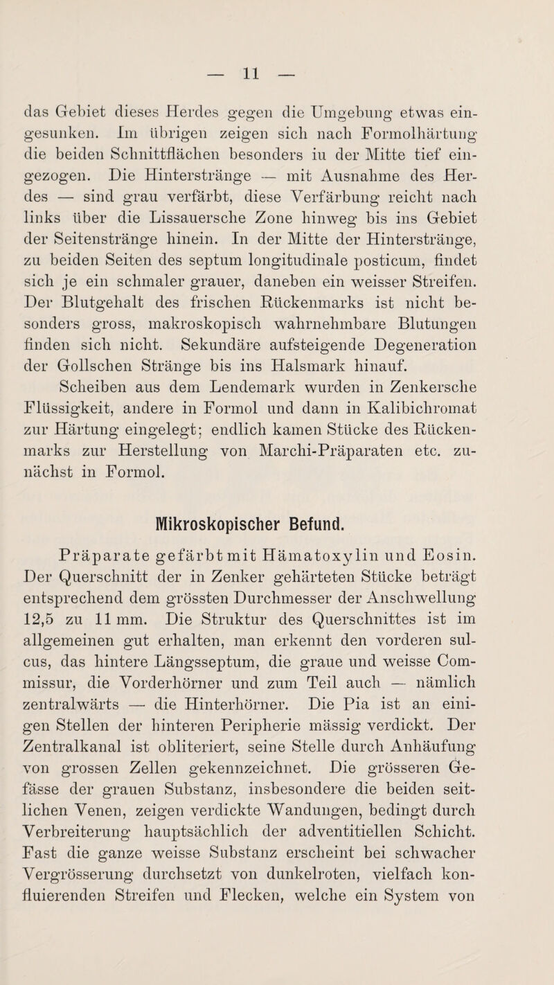 das Gebiet dieses Herdes gegen die Umgebung etwas ein¬ gesunken. Im übrigen zeigen sieb nach Formolhärtung die beiden Schnittflächen besonders iu der Mitte tief ein¬ gezogen. Die Hinterstränge — mit Ausnahme des Her¬ des — sind grau verfärbt, diese Verfärbung reicht nach links über die Lissauersche Zone hinweg bis ins Gebiet der Seitenstränge hinein. In der Mitte der Hinterstränge, zu beiden Seiten des septum longitudinale posticum, findet sich je ein schmaler grauer, daneben ein weisser Streifen. Der Blutgehalt des frischen Rückenmarks ist nicht be¬ sonders gross, makroskopisch wahrnehmbare Blutungen finden sich nicht. Sekundäre aufsteigende Degeneration der Gollschen Stränge bis ins Halsmark hinauf. Scheiben aus dem Lendemark wurden in Zenkersche Flüssigkeit, andere in Formol und dann in Kalibichromat zur Härtung eingelegt; endlich kamen Stücke des Rücken¬ marks zur Herstellung von Marchi-Präparaten etc. zu¬ nächst in Formol. Mikroskopischer Befund. Präparate gefärbt mit Hämatoxylin und Eosin. Der Querschnitt der in Zenker gehärteten Stücke beträgt entsprechend dem grössten Durchmesser der Anschwellung 12,5 zu 11 mm. Die Struktur des Querschnittes ist im allgemeinen gut erhalten, man erkennt den vorderen sul- cus, das hintere Längsseptum, die graue und weisse Com- missur, die Vorderhörner und zum Teil auch — nämlich zentralwärts — die Hinterhörner. Die Pia ist an eini¬ gen Stellen der hinteren Peripherie mässig verdickt. Der Zentralkanal ist obliteriert, seine Stelle durch Anhäufung von grossen Zellen gekennzeichnet. Die grösseren Ge- fässe der grauen Substanz, insbesondere die beiden seit¬ lichen Venen, zeigen verdickte Wandungen, bedingt durch Verbreiterung hauptsächlich der adventitiellen Schicht. Fast die ganze weisse Substanz erscheint bei schwacher Vergrösserung durchsetzt von dunkelroten, vielfach kon- fluierenden Streifen und Flecken, welche ein System von