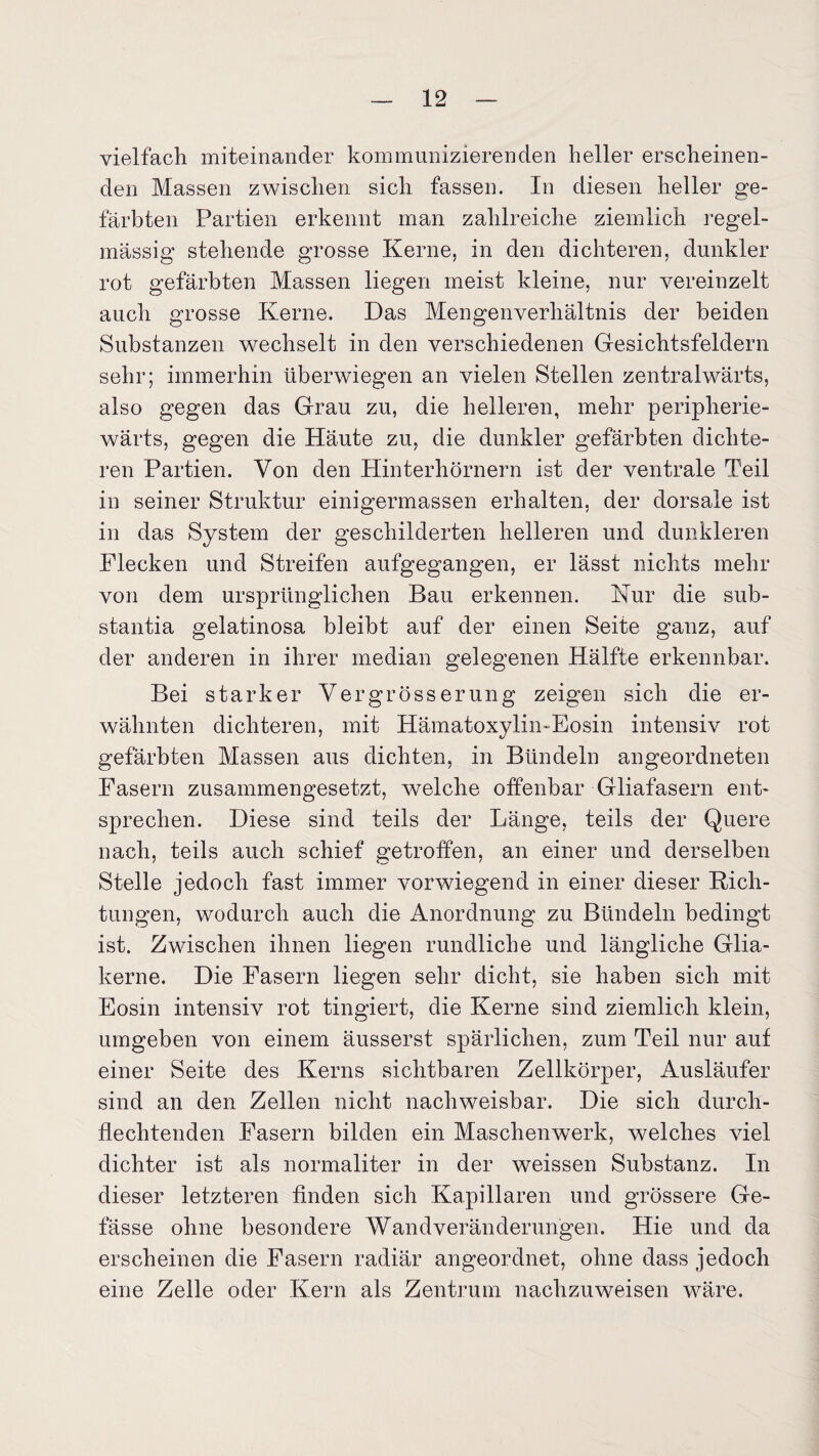 vielfach miteinander kommunizierenden heller erscheinen¬ den Massen zwischen sich fassen. In diesen heller ge¬ färbten Partien erkennt man zahlreiche ziemlich regel¬ mässig stehende grosse Kerne, in den dichteren, dunkler rot gefärbten Massen liegen meist kleine, nur vereinzelt auch grosse Kerne. Das Mengenverhältnis der beiden Substanzen wechselt in den verschiedenen Gesichtsfeldern sehr; immerhin überwiegen an vielen Stellen zentralwärts, also gegen das Grau zu, die helleren, mehr peripherie- wärts, gegen die Häute zu, die dunkler gefärbten dichte¬ ren Partien. Von den Hinterhörnern ist der ventrale Teil in seiner Struktur einigermassen erhalten, der dorsale ist in das System der geschilderten helleren und dunkleren Flecken und Streifen aufgegangen, er lässt nichts mehr von dem ursprünglichen Bau erkennen. Nur die sub- stantia gelatinosa bleibt auf der einen Seite ganz, auf der anderen in ihrer median gelegenen Hälfte erkennbar. Bei starker Vergross erung zeigen sich die er¬ wähnten dichteren, mit Hämatoxylin-Eosin intensiv rot gefärbten Massen aus dichten, in Bündeln angeordneten Fasern zusammengesetzt, welche offenbar Gliafasern ent¬ sprechen. Diese sind teils der Länge, teils der Quere nach, teils auch schief getroffen, an einer und derselben Stelle jedoch fast immer vorwiegend in einer dieser Rich¬ tungen, wodurch auch die Anordnung zu Bündeln bedingt ist. Zwischen ihnen liegen rundliche und längliche Glia- kerne. Die Fasern liegen sehr dicht, sie haben sich mit Eosin intensiv rot tingiert, die Kerne sind ziemlich klein, umgeben von einem äusserst spärlichen, zum Teil nur auf einer Seite des Kerns sichtbaren Zellkörper, Ausläufer sind an den Zellen nicht nachweisbar. Die sich durch¬ flechtenden Fasern bilden ein Maschenwerk, welches viel dichter ist als normaliter in der weissen Substanz. In dieser letzteren finden sich Kapillaren und grössere Ge- fässe ohne besondere Wandveränderungen. Hie und da erscheinen die Fasern radiär angeordnet, ohne dass jedoch eine Zelle oder Kern als Zentrum nachzuweisen wäre.