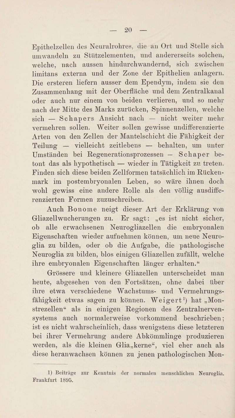 Epithelzellen des Neuralrohres, die an Ort und Stelle sich umwandeln zu Stützelementen, und andererseits solchen, welche, nach aussen hindurchwandernd, sich zwischen limitans externa und der Zone der Epithelien anlagern. Die ersteren liefern ausser dem Ependym, indem sie den Zusammenhang mit der Oberfläche und dem Zentralkanal oder auch nur einem von beiden verlieren, und so mehr nach der Mitte des Marks zurücken, Spinnenzellen, welche sich — Schapers Ansicht nach — nicht weiter mehr vermehren sollen. Weiter sollen gewisse undifferenzierte Arten von den Zellen der Mantelschicht die Fähigkeit der Teilung — vielleicht zeitlebens — behalten, um unter Umständen bei Regenerationsprozessen — Schaper be¬ tont das als hypothetisch — wieder in Tätigkeit zu treten. Finden sich diese beiden Zellformen tatsächlich im Rücken¬ mark im postembryonalen Leben, so wäre ihnen doch wohl gewiss eine andere Rolle als den völlig ausdiffe¬ renzierten Formen zuzuschreiben. Auch Bonome neigt dieser Art der Erklärung von Gliazell Wucherungen zu. Er sagt: „es ist nicht sicher, ob alle erwachsenen Neurogliazellen die embryonalen Eigenschaften wieder aufnehmen können, um neue Neuro- glia zu bilden, oder ob die Aufgabe, die pathologische Neuroglia zu bilden, blos einigen Gliazellen zufällt, welche ihre embryonalen Eigenschaften länger erhalten.“ Grössere und kleinere Gliazellen unterscheidet man heute, abgesehen von den Fortsätzen, ohne dabei über ihre etwa verschiedene Wachstums- und Vermehrungs¬ fähigkeit etwas sagen zu können. Weigert1) hat „Mon- strezellen“ als in einigen Regionen des Zentralnerven¬ systems auch normalerweise vorkommend beschrieben; ist es nicht wahrscheinlich, dass wenigstens diese letzteren bei ihrer Vermehrung andere Abkömmlinge produzieren werden, als die kleinen Glia„kernea, viel eher auch als diese heranwachsen können zu jenen pathologischen Mon- 1) Beiträge zur Kenntnis der normalen menschlichen Neuroglia. Frankfurt 1895.