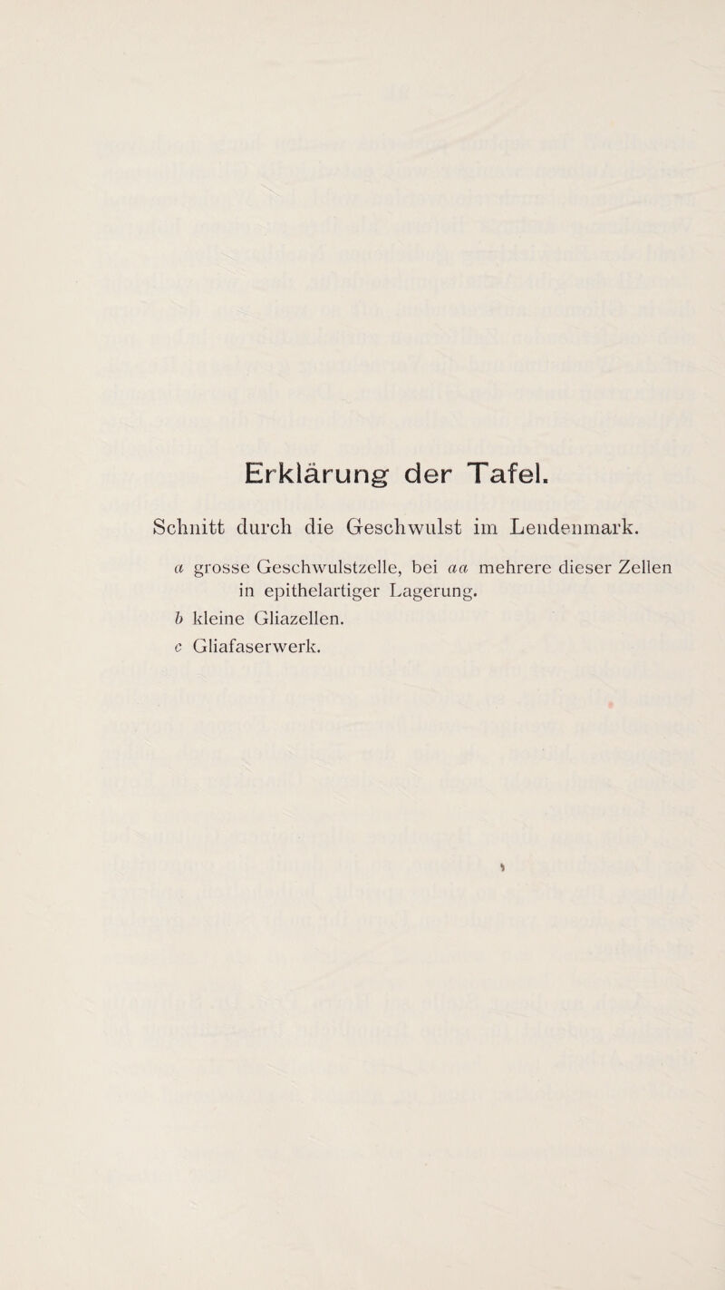 Erklärung der Tafel. Schnitt durch die Geschwulst im Lendenmark. a grosse Geschwulstzelle, bei aa mehrere dieser Zellen in epithelartiger Lagerung. b kleine Gliazellen. c Gliafaserwerk.