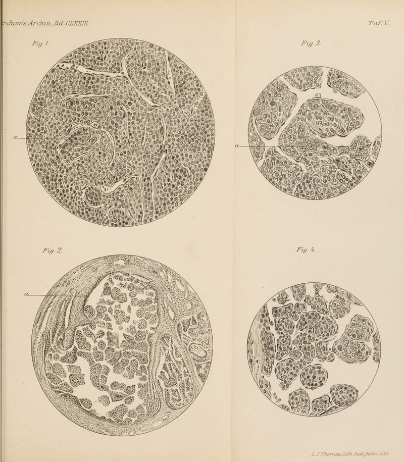 rdwro'sArchiv, 13d CIXXIX. TaJ\ V /& 0 . J>r% /X-XX+ffoL S&ag/^ Fig-4-, Jj.J. Thon las, L vth. Inst., Berlin 5.53