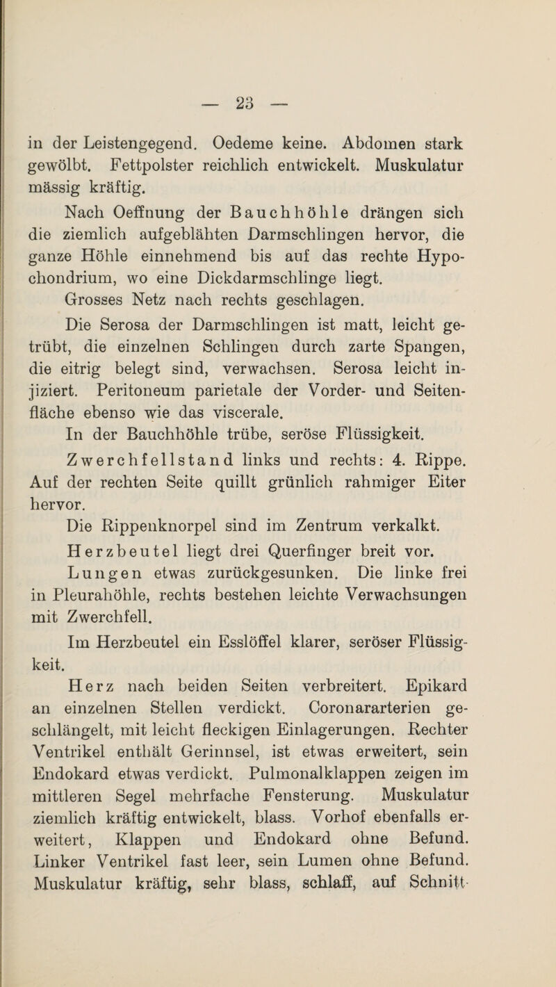 in der Leistengegend. Oedeme keine. Abdomen stark gewölbt. Fettpolster reichlich entwickelt. Muskulatur massig kräftig. Nach Oeffnung der Bauchhöhle drängen sich die ziemlich aufgeblähten Darmschlingen hervor, die ganze Höhle einnehmend bis auf das rechte Hypo- chondrium, wo eine Dickdarmschlinge liegt. Grosses Netz nach rechts geschlagen. Die Serosa der Darmschlingen ist matt, leicht ge¬ trübt, die einzelnen Schlingen durch zarte Spangen, die eitrig belegt sind, verwachsen. Serosa leicht in¬ jiziert. Peritoneum parietale der Vorder- und Seiten¬ fläche ebenso wie das viscerale. In der Bauchhöhle trübe, seröse Flüssigkeit. Zwerchfellstand links und rechts: 4. Rippe. Auf der rechten Seite quillt grünlich rahmiger Eiter hervor. Die Rippenknorpel sind im Zentrum verkalkt. Herzbeutel liegt drei Querfinger breit vor. Lungen etwas zurückgesunken. Die linke frei in Pleurahöhle, rechts bestehen leichte Verwachsungen mit Zwerchfell. Im Herzbeutel ein Esslöffel klarer, seröser Flüssig¬ keit. Herz nach beiden Seiten verbreitert. Epikard an einzelnen Stellen verdickt. Coronararterien ge¬ schlängelt, mit leicht fleckigen Einlagerungen. Rechter Ventrikel enthält Gerinnsel, ist etwas erweitert, sein Endokard etwas verdickt. Pulmonalklappen zeigen im mittleren Segel mehrfache Fensterung. Muskulatur ziemlich kräftig entwickelt, blass. Vorhof ebenfalls er¬ weitert , Klappen und Endokard ohne Befund. Linker Ventrikel fast leer, sein Lumen ohne Befund. Muskulatur kräftig, sehr blass, schlaff, auf Schnitt-