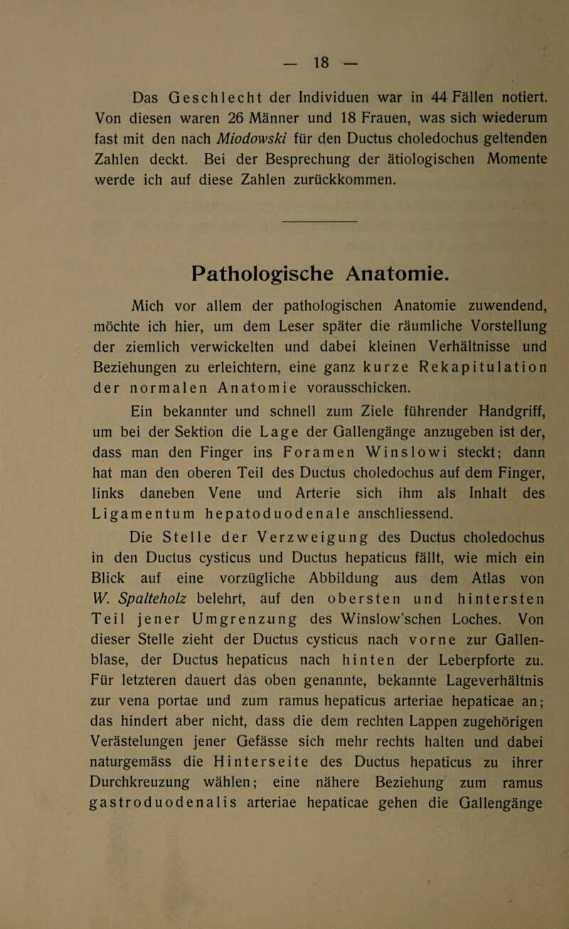 Das Geschlecht der Individuen war in 44 Fällen notiert. Von diesen waren 26 Männer und 18 Frauen, was sich wiederum fast mit den nach Miodowski für den Ductus choledochus geltenden Zahlen deckt. Bei der Besprechung der ätiologischen Momente werde ich auf diese Zahlen zurückkommen. Pathologische Anatomie. Mich vor allem der pathologischen Anatomie zuwendend, möchte ich hier, um dem Leser später die räumliche Vorstellung der ziemlich verwickelten und dabei kleinen Verhältnisse und Beziehungen zu erleichtern, eine ganz kurze Rekapitulation der normalen Anatomie vorausschicken. Ein bekannter und schnell zum Ziele führender Handgriff, um bei der Sektion die Lage der Gallengänge anzugeben ist der, dass man den Finger ins Foramen Winslowi steckt; dann hat man den oberen Teil des Ductus choledochus auf dem Finger, links daneben Vene und Arterie sich ihm als Inhalt des Ligamentum hepatoduodenale anschliessend. Die Stelle der Verzweigung des Ductus choledochus in den Ductus cysticus und Ductus hepaticus fällt, wie mich ein Blick auf eine vorzügliche Abbildung aus dem Atlas von W. Spalteholz belehrt, auf den obersten und hintersten Teil jener Umgrenzung des Winslow’schen Loches. Von dieser Stelle zieht der Ductus cysticus nach vorne zur Gallen¬ blase, der Ductus hepaticus nach hinten der Leberpforte zu. Für letzteren dauert das oben genannte, bekannte Lageverhältnis zur vena portae und zum ramus hepaticus arteriae hepaticae an; das hindert aber nicht, dass die dem rechten Lappen zugehörigen Verästelungen jener Gefässe sich mehr rechts halten und dabei naturgemäss die Hinterseite des Ductus hepaticus zu ihrer Durchkreuzung wählen; eine nähere Beziehung zum ramus gastroduodenalis arteriae hepaticae gehen die Gallengänge