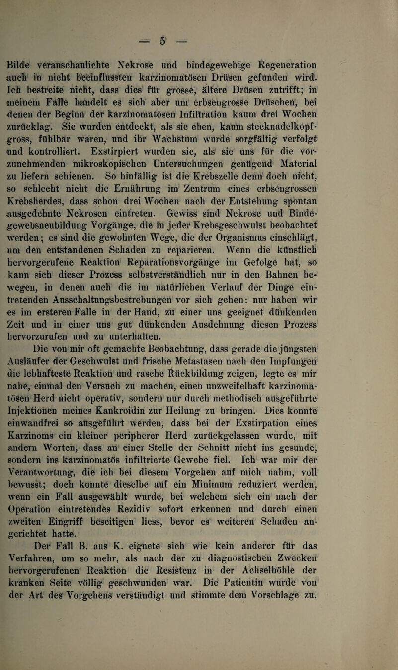 Bilde veranschaulichte Nekrose und bindegewebige Regeneration auch in nicht beeinflussten karzinomatösen Drüsen gefunden wird. Ich bestreite nicht, dass dies für grosse, ältere Drüsen zutrifft; in meinem Falle handelt es sich aber um erbsengrosse Dräschen, bei denen der Beginn der karzinomatösen Infiltration kaum drei Wochen zurücklag. Sie wurden entdeckt, als sie eben, kaum Stecknadel köpf* gross, fühlbar waren, und ihr Wachstum wurde sorgfältig verfolgt und kontrolliert. Exstirpiert wurden sie, als sie uns für die vor¬ zunehmenden mikroskopischen Untersuchungen genügend Material zu liefern schienen. So hinfällig ist die Krebszelle denn doch nicht, so schlecht nicht die Ernährung im Zentrum eines erbsengrossen Krebsherdes, dass schon drei Wochen nach der Entstehung spontan ausgedehnte Nekrosen eintreten. Gewiss sind Nekrose und Binde¬ gewebsneubildung Vorgänge, die in jeder Krebsgeschwulst beobachtet werden; es sind die gewohnten Wege, die der Organismus einschlägt, um den entstandenen Schaden zu reparieren. Wenn die künstlich hervorgerufene Reaktion Reparationsvorgänge im Gefolge hat, so kann sich dieser Prozess selbstverständlich nur in den Bahnen be¬ wegen, in denen auch die im natürlichen Verlauf der Dinge ein¬ tretenden Ausschaltungsbestrebungen vor sich gehen: nur haben wir es im ersteren Falle in der Hand, zu einer uns geeignet dünkenden Zeit und in einer uns gut dünkenden Ausdehnung diesen Prozess hervorzurufen und zu unterhalten. Die von mir oft gemachte Beobachtung, dass gerade die jüngsten Ausläufer der Geschwulst und frische Metastasen nach den Impfungen die lebhafteste Reaktion und rasche Rückbildung zeigen, legte es mir nahe, einmal den Versuch zu machen, einen unzweifelhaft karzinoma¬ tösen Herd nicht operativ, sondern nur durch methodisch ausgeführte Injektionen meines Kankroidin zur Heilung zu bringen. Dies konnte einwandfrei so ausgeführt werden, dass bei der Exstirpation eines Karzinoms ein kleiner peripherer Herd zurückgelassen wurde, mit andern Worten, dass an einer Stelle der Schnitt nicht ins gesunde, sondern ins karzinomatös infiltrierte Gewebe fiel. Ich war mir der Verantwortung, die ich bei diesem Vorgehen auf mich nahm, voll bewusst; doch konnte dieselbe auf ein Minimum reduziert werden, wenn ein Fall ausgewählt wurde, bei welchem sich ein nach der Operation eintretendes Rezidiv sofort erkennen und durch einen zweiten Eingriff beseitigen liess, bevor es weiteren Schaden an¬ gerichtet hatte. Der Fall B. aus K. eignete sich wie kein anderer für das Verfahren, um so mehr, als nach der zu diagnostischen Zwecken hervorgerufenen Reaktion die Resistenz in der Achselhöhle der kranken Seite völlig geschwunden war. Die Patientin wurde von der Art des Vorgehens verständigt und stimmte dem Vorschläge zu.