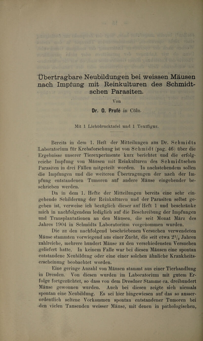 Übertragbare Neubildungen bei weissen Mäusen nach Impfung mit Reinkulturen des Schmidt- schen Parasiten. Von Dr. 0. Profe in Cöln. Mit 1 Lichtdrucktafel und 1 Textfigur. Bereits in dem 1. Heft der Mitteilungen aus Dr. Schmidts Laboratorium für Krebsforschung ist von Schmidt (pag. 46) über die Ergebnisse unserer Tierexperimente kurz berichtet und die erfolg¬ reiche Impfung von Mäusen mit Reinkulturen des Schmidtschen Parasiten in drei Fällen mitgeteilt worden. In nachstehendem sollen die Impfungen und die weiteren Übertragungen der nach der Im¬ pfung entstandenen Tumoren auf andere Mäuse eingehender be¬ schrieben werden. Da in dem 1. Hefte der Mitteilungen bereits eine sehr ein¬ gehende Schilderung der Reinkulturen und der Parasiten selbst ge¬ geben ist, verweise ich bezüglich dieser auf Heft 1 und beschränke mich in nachfolgendem lediglich auf die Beschreibung der Impfungen und Transplantationen an den Mäusen, die seit Monat März des Jahres 1904 in Schmidts Laboratorium vorgenommen wurden. Die zu den nachfolgend beschriebenen Versuchen verwendeten Mäuse stammten vorwiegend aus einer Zucht, die seit etwa 2x/2 Jahren zahlreiche, mehrere hundert Mäuse zu den verschiedensten Versuchen geliefert hatte. In keinem Falle war bei diesen Mäusen eine spontan entstandene Neubildung oder eine einer solchen ähnliche Krankheits¬ erscheinung beobachtet worden. Eine geringe Anzahl von Mäusen stammt aus einer Tierhandlung in Dresden. Von diesen wurden im Laboratorium mit gutem Er¬ folge fortgezüchtet, so dass von dem Dresdner Stamme ca. dreihundert Mäuse gewonnen wurden. Auch bei diesen zeigte sich niemals spontan eine Neubildung. Es sei hier hingewiesen auf das so ausser¬ ordentlich seltene Vorkommen spontan entstandener Tumoren bei den vielen Tausenden weisser Mäuse, mit denen in pathologischen,