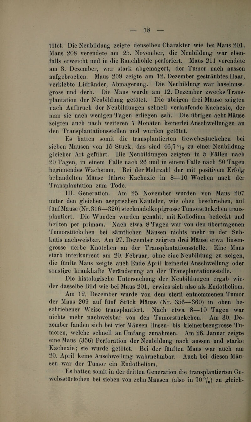 tötet. Die Neubildung zeigte denselben Charakter wie bei Maus 201. Maus 208 verendete am 25. November, die Neubildung war eben¬ falls erweicht und in die Bauchhöhle perforiert. Maus 211 verendete am 3. Dezember, war stark abgemagert, der Tumor nach aussen aufgebrochen. Maus 209 zeigte am 12. Dezember gesträubtes Haar, verklebte Lidränder, Abmagerung. Die Neubildung war haselnuss¬ gross und derb. Die Maus wurde am 12. Dezember zwecks Trans¬ plantation der Neubildung getötet. Die übrigen drei Mäuse zeigten nach Aufbruch der Neubildungen schnell verlaufende Kachexie, der man sie nach wenigen Tagen erliegen sah. Die übrigen acht Mäuse zeigten auch nach weiteren 7 Monaten keinerlei Anschwellungen an den Transplantationsstellen und wurden getötet. Es hatten somit die transplantierten Gewebestückchen bei sieben Mäusen von 15 Stück, das sind 46,7 °/0 zu einer Neubildung gleicher Art geführt. Die Neubildungen zeigten in 5 Fällen nach 20 Tagen, in einem Falle nach 26 und in einem Falle nach 30 Tagen beginnendes Wachstum. Bei der Mehrzahl der mit positivem Erfolg behandelten Mäuse führte Kachexie in 8—10 Wochen nach der Transplantation zum Tode. III. Generation. Am 25. November wurden von Maus 207 unter den gleichen aseptischen Kautelen, wie oben beschrieben, auf fünf Mäuse (Nr. 316—320) stecknadelkopfgrosse Tumorstückchen trans¬ plantiert. Die Wunden wurden genäht, mit Kollodium bedeckt und heilten per primam. Nach etwa 8 Tagen war von den übertragenen Tumorstückchen bei sämtlichen Mäusen nichts mehr in der Sub- kutis nachweisbar. Am 27. Dezember zeigten drei Mäuse etwa linsen¬ grosse derbe Knötchen an der Transplantationsstelle. Eine Maus starb interkurrent am 20. Februar, ohne eine Neubildung zu zeigen, die fünfte Maus zeigte auch Ende April keinerlei Anschwellung oder sonstige krankhafte Veränderung an der Transplantationsstelle. Die histologische Untersuchung der Neubildungen ergab wie¬ der dasselbe Bild wie bei Maus 201, erwies sich also als Endotheliom. Am 12. Dezember wurde von dem steril entnommenen Tumor der Maus 209 auf fünf Stück Mäuse (Nr. 356—360) in oben be¬ schriebener Weise transplantiert. Nacli etwa 8—10 Tagen war nichts mehr nachweisbar von den Tumorstückchen. Am 30. De¬ zember fanden sich bei vier Mäusen linsen- bis kleinerbsengrosse Tu¬ moren, welche schnell an Umfang Zunahmen. Am 26. Januar zeigte eine Maus (356) Perforation der Neubildung nach aussen und starke Kachexie; sie wurde getötet. Bei der fünften Maus war auch am 20. April keine Anschwellung wahrnehmbar. Auch bei diesen Mäu¬ sen war der Tumor ein Endotheliom. Es hatten somit in der dritten Generation die transplantierten Ge¬ websstückchen bei sieben von zehn Mäusen (also in 70 °/0) zu gleich-