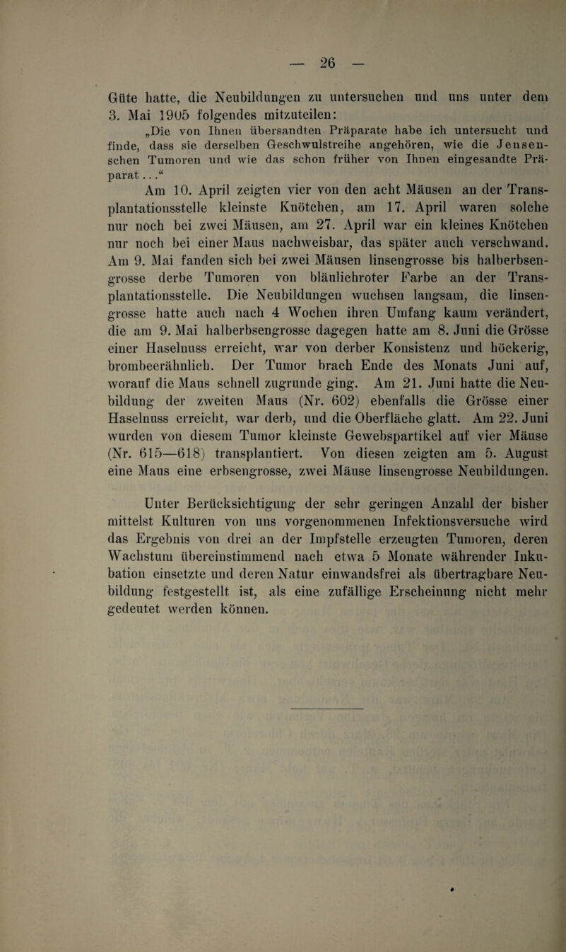 Güte hatte, die Neubildungen zu untersuchen und uns unter dem 3. Mai 1905 folgendes mitzuteilen: „Die von Ihnen übersandten Präparate habe ich untersucht und finde, dass sie derselben Geschwulstreihe angehören, wie die Jensen- schen Tumoren und wie das schon früher von Ihnen eingesandte Prä¬ parat ...“ Am 10. April zeigten vier von den acht Mäusen an der Trans¬ plantationsstelle kleinste Knötchen, am 17. April waren solche nur noch bei zwei Mäusen, am 27. April war ein kleines Knötchen nur noch bei einer Maus nachweisbar, das später auch verschwand. Am 9. Mai fanden sich bei zwei Mäusen linsengrosse bis halberbsen¬ grosse derbe Tumoren von bläulichroter Farbe an der Trans¬ plantationsstelle. Die Neubildungen wuchsen langsam, die linsen¬ grosse hatte auch nach 4 Wochen ihren Umfang kaum verändert, die am 9. Mai halberbsengrosse dagegen hatte am 8. Juni die Grösse einer Haselnuss erreicht, war von derber Konsistenz und höckerig, brombeerähnlich. Der Tumor brach Ende des Monats Juni auf, worauf die Maus schnell zugrunde ging. Am 21. Juni hatte die Neu¬ bildung der zweiten Maus (Nr. 602) ebenfalls die Grösse einer Haselnuss erreicht, war derb, und die Oberfläche glatt. Am 22. Juni wurden von diesem Tumor kleinste Gewebspartikel auf vier Mäuse (Nr. 615—618) transplantiert. Von diesen zeigten am 5. August eine Maus eine erbsengrosse, zwei Mäuse linsengrosse Neubildungen. Unter Berücksichtigung der sehr geringen Anzahl der bisher mittelst Kulturen von uns vorgenommenen Infektionsversuche wird das Ergebnis von drei an der Impfstelle erzeugten Tumoren, deren Wachstum übereinstimmend nach etwa 5 Monate währender Inku¬ bation einsetzte und deren Natur ein wandsfrei als übertragbare Neu¬ bildung festgestellt ist, als eine zufällige Erscheinung nicht mehr gedeutet werden können. #