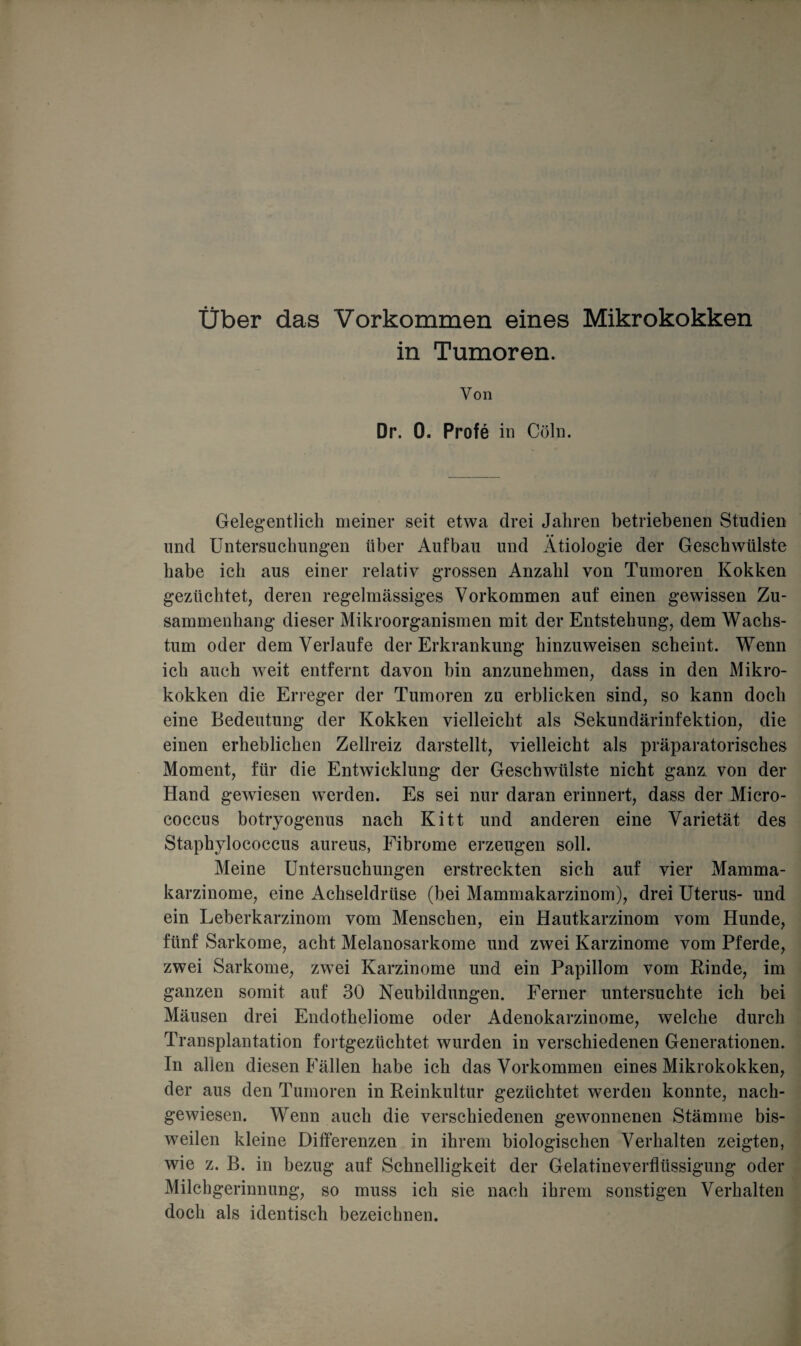 Über das Vorkommen eines Mikrokokken in Tumoren. Von Dr. 0. Profe in Cöln. Gelegentlich meiner seit etwa drei Jahren betriebenen Studien und Untersuchungen über Aufbau und Ätiologie der Geschwülste habe ich aus einer relativ grossen Anzahl von Tumoren Kokken gezüchtet, deren regelmässiges Vorkommen auf einen gewissen Zu¬ sammenhang dieser Mikroorganismen mit der Entstehung, dem Wachs¬ tum oder dem Verlaufe der Erkrankung hinzuweisen scheint. Wenn ich auch weit entfernt davon bin anzunehmen, dass in den Mikro¬ kokken die Erreger der Tumoren zu erblicken sind, so kann doch eine Bedeutung der Kokken vielleicht als Sekundärinfektion, die einen erheblichen Zellreiz darstellt, vielleicht als präparatorisches Moment, für die Entwicklung der Geschwülste nicht ganz, von der Hand gewiesen werden. Es sei nur daran erinnert, dass der Micro- coccus botryogenus nach Kitt und anderen eine Varietät des Staphylococcus aureus, Fibrome erzeugen soll. Meine Untersuchungen erstreckten sich auf vier Mamma¬ karzinome, eine Achseldrüse (bei Mammakarzinom), drei Uterus- und ein Leberkarzinom vom Menschen, ein Hautkarzinom vom Hunde, fünf Sarkome, acht Melanosarkome und zwei Karzinome vom Pferde, zwei Sarkome, zwei Karzinome und ein Papillom vom Kinde, im ganzen somit auf 30 Neubildungen. Ferner untersuchte ich bei Mäusen drei Endotheliome oder Adenokarzinome, welche durch Transplantation fortgezüchtet wurden in verschiedenen Generationen. In allen diesen Fällen habe ich das Vorkommen eines Mikrokokken, der aus den Tumoren in Reinkultur gezüchtet werden konnte, nach¬ gewiesen. Wenn auch die verschiedenen gewonnenen Stämme bis¬ weilen kleine Differenzen in ihrem biologischen Verhalten zeigten, wie z. B. in bezug auf Schnelligkeit der Gelatineverflüssigung oder Milchgerinnung, so muss ich sie nach ihrem sonstigen Verhalten doch als identisch bezeichnen.