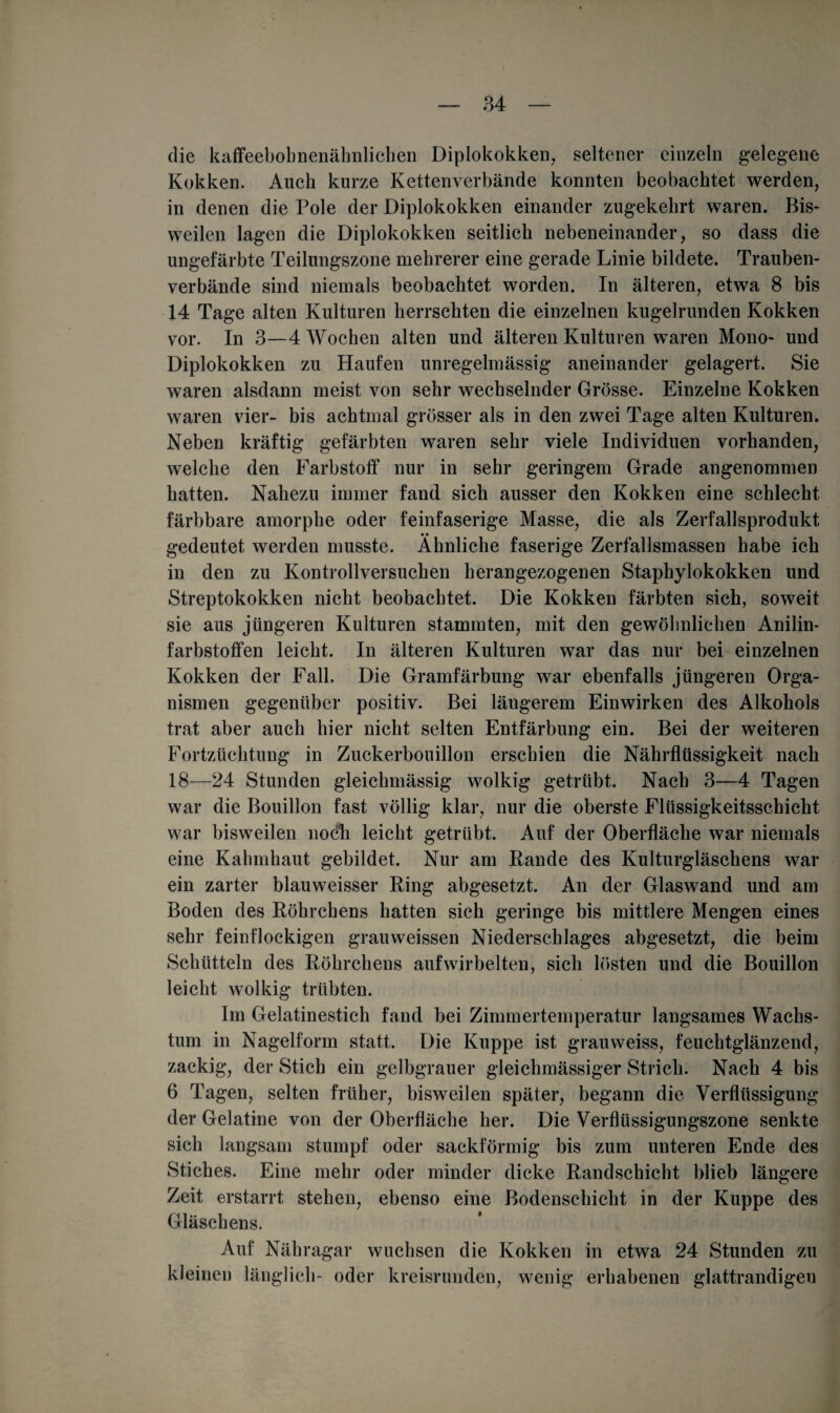 die kaffeebobneilähnlichen Diplokokken, seltener einzeln gelegene Kokken. Auch kurze Kettenverbände konnten beobachtet werden, in denen die Pole der Diplokokken einander zugekehrt waren. Bis¬ weilen lagen die Diplokokken seitlich nebeneinander, so dass die ungefärbte Teilungszone mehrerer eine gerade Linie bildete. Trauben¬ verbände sind niemals beobachtet worden. In älteren, etwa 8 bis 14 Tage alten Kulturen herrschten die einzelnen kugelrunden Kokken vor. In 3—4 Wochen alten und älteren Kulturen waren Mono- und Diplokokken zu Haufen unregelmässig aneinander gelagert. Sie waren alsdann meist von sehr wechselnder Grösse. Einzelne Kokken waren vier- bis achtmal grösser als in den zwei Tage alten Kulturen. Neben kräftig gefärbten waren sehr viele Individuen vorhanden, welche den Farbstoff nur in sehr geringem Grade angenommen hatten. Nahezu immer fand sich ausser den Kokken eine schlecht färbbare amorphe oder feinfaserige Masse, die als Zerfallsprodukt gedeutet werden musste. Ähnliche faserige Zerfallsmassen habe ich in den zu Kontrollversuchen herangezogenen Staphylokokken und Streptokokken nicht beobachtet. Die Kokken färbten sich, soweit sie aus jüngeren Kulturen stammten, mit den gewöhnlichen Anilin¬ farbstoffen leicht. In älteren Kulturen war das nur bei einzelnen Kokken der Fall. Die Gramfärbung war ebenfalls jüngeren Orga¬ nismen gegenüber positiv. Bei längerem Einwirken des Alkohols trat aber auch hier nicht selten Entfärbung ein. Bei der weiteren Fortzüchtung in Zuckerbouillon erschien die Nährflüssigkeit nach 18—24 Stunden gleichmässig wolkig getrübt. Nach 3—4 Tagen war die Bouillon fast völlig klar, nur die oberste Flüssigkeitsschicht war bisweilen nocli leicht getrübt. Auf der Oberfläche war niemals eine Kahmhaut gebildet. Nur am Rande des Kulturgläschens war ein zarter blauweisser Ring abgesetzt. An der Glaswand und am Boden des Röhrchens hatten sich geringe bis mittlere Mengen eines sehr feinflockigen grauweissen Niederschlages abgesetzt, die beim Schütteln des Röhrchens auf wirbelten, sich lösten und die Bouillon leicht wolkig trübten. Im Gelatinestich fand bei Zimmertemperatur langsames Wachs¬ tum in Nagelform statt. Die Kuppe ist grauweiss, feuehtglänzend, zackig, der Stich ein gelbgrauer gleichmässiger Strich. Nach 4 bis 6 Tagen, selten früher, bisweilen später, begann die Verflüssigung der Gelatine von der Oberfläche her. Die Verflüssigungszone senkte sich langsam stumpf oder sackförmig bis zum unteren Ende des Stiches. Eine mehr oder minder dicke Randschieht blieb längere Zeit erstarrt stehen, ebenso eine Bodenschicht in der Kuppe des Gläschens. Auf Nähragar wuchsen die Kokken in etwa 24 Stunden zu kleinen länglich- oder kreisrunden, wenig erhabenen glattrandigen