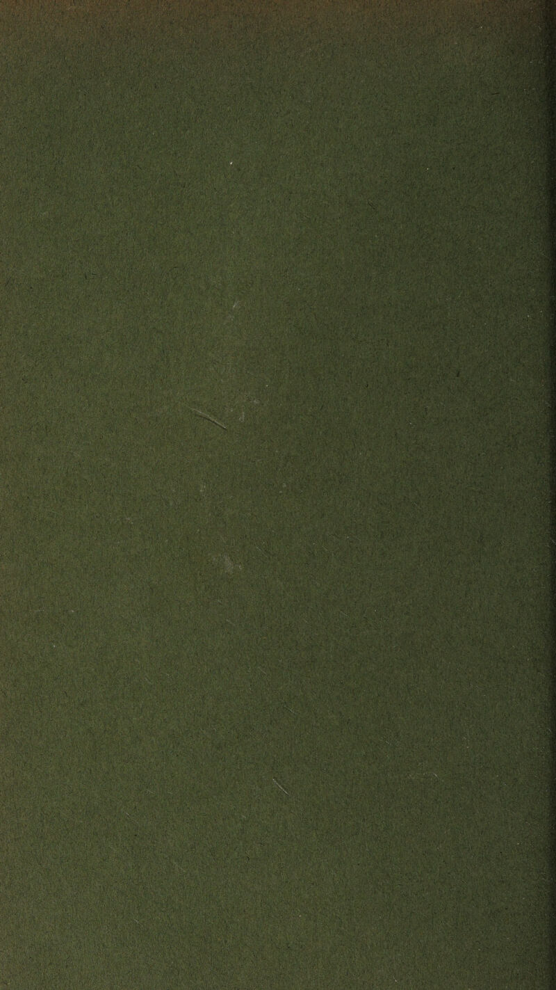 XitibLi'L-fiv'f/ •<&