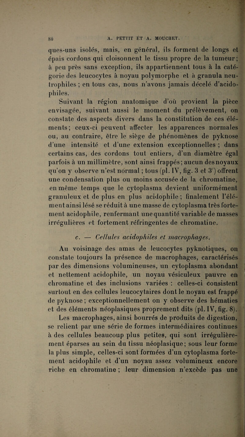 qiies-uns isolés, mais, en général, ils forment de longs et épais cordons qui cloisonnent le tissu propre de la tumeur; à peu près sans exception, ils appartiennent tous à la caté¬ gorie des leucocytes à noyau polymorphe et à granula neu¬ trophiles ; en tous cas, nous n’avons jamais décelé d’acido- philes. Suivant la région anatomique d’où provient la pièce envisagée, suivant aussi le moment du prélèvement, on constate des aspects divers dans la constitution de ces élé¬ ments ; ceux-ci peuvent affecter les apparences normales ou, au contraire, être le siège de phénomènes de pyknose d’une intensité et d’une extension exceptionnelles ; dans certains cas, des cordons tout entiers, d’un diamètre égal parfois à un millimètre, sont ainsi frappés; aucun des noyaux qu’on y observe n’est normal ; tous (pl. IV, fig. 3 et 3^) offrent une condensation plus ou moins accusée de la chromatine, en même temps que le cy toplasma devient uniformément granuleux et de plus en plus acidophile ; finalement l’élé¬ ment ainsi lésé se réduit à une masse de cytoplasma très forte¬ ment acidophile, renfermant une quantité variable déniasses irrégulières et fortement réfringentes de chromatine. c. — Cellules acidophiles et macrophages. Au voisinage des amas de leucocytes pyknotiques, on constate toujours la présence de macrophages, caractérisés par des dimensions volumineuses, un cytoplasma abondant et nettement acidophile, un noyau vésiculeux pauvre en chromatine et des inclusions variées : celles-ci consistent surtout en des cellules leucocytaires dont le noyau est frappé de pyknose ; exceptionnellement on y observe des hématies et des éléments néoplasiques proprement dits (pl.IV, fig. 8). Les macrophages, ainsi bourrés de produits de digestion, se relient par une série de formes intermédiaires continues à des cellules beaucoup plus petites, qui sont irrégulière¬ ment éparses au sein du tissu néoplasique; sous leur forme la plus simple, celles-ci sont formées d’un cytoplasma forte¬ ment acidophile et d’un noyau assez volumineux encore riche en chromatine ; leur dimension n’excède pas une