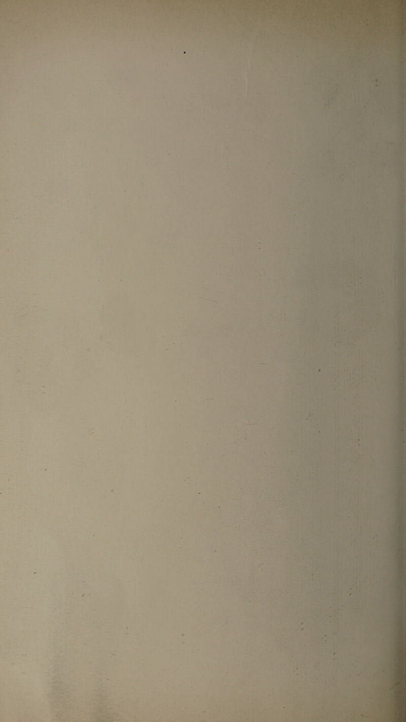 s' I f r ■ t 's K H' J ir •» k • <! '