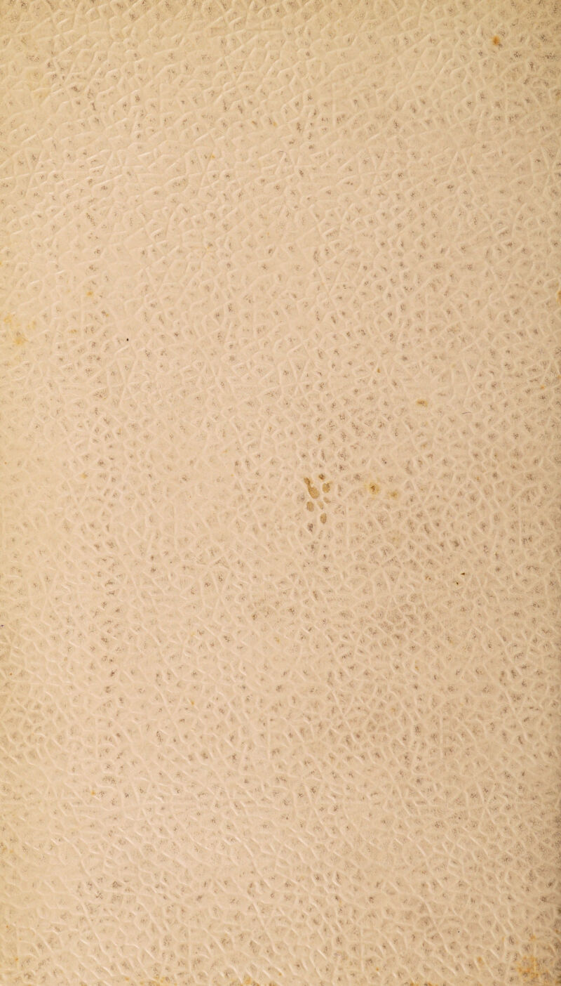  <• ' ' ' tr* \ - * t - Â * ^ T <• * * -fÊb^L i F ;.V V ç ÿ j •» >/ >» Ç- ■* fti *< . ' •>* .. % i ■ * V % / ^ *< > 4; '« ■ t*‘ ., . a;*> • • '¥ * f .■> 4 * ’ÿ < t • * ? n 4 ** * % < r V , AÀ • i.- L n\