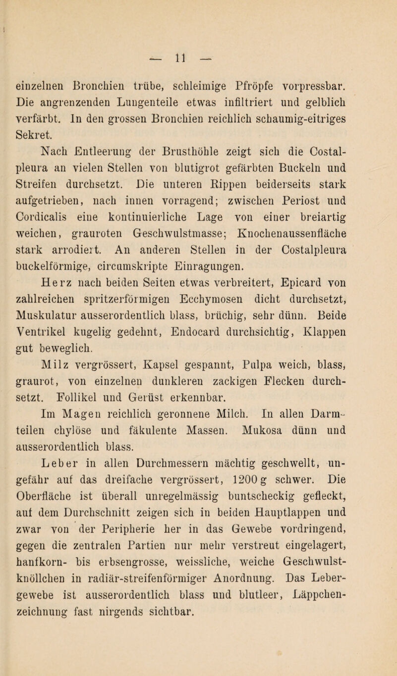 I — 11 — einzelnen Bronchien trübe, schleimige Pfropfe vorpressbar. Die angrenzenden Lungenteile etwas infiltriert und gelblich verfärbt, ln den grossen Bronchien reichlich schaumig-eitriges Sekret. Nach Entleerung der Brusthöhle zeigt sich die Costal- pleura an vielen Stellen von blutigrot gefärbten Buckeln und Streifen durchsetzt. Die unteren Kippen beiderseits stark aufgetrieben, nach innen vorragend; zwischen Periost und Cordicalis eine kontinuierliche Lage von einer breiartig weichen, grauroten Geschwulstmasse; Knochenaussenfläche stark arrodiert. An anderen Stellen in der Costalpleura buckelförmige, circumskripte Einragungen. Herz nach beiden Seiten etwas verbreitert, Epicard von zahlreichen spritzerförmigen Ecchymosen dicht durchsetzt, Muskulatur ausserordentlich blass, brüchig, sehr dünn. Beide Ventrikel kugelig gedehnt, Endocard durchsichtig, Klappen gut beweglich. Milz vergrössert, Kapsel gespannt, Pulpa weich, blass, graurot, von einzelnen dunkleren zackigen Flecken durch¬ setzt. Follikel und Gerüst erkennbar. Im Magen reichlich geronnene Milch. In allen Darm¬ teilen chylöse und fäkulente Massen. Mukosa dünn und ausserordentlich blass. Leber in allen Durchmessern mächtig geschwellt, un¬ gefähr auf das dreifache vergrössert, 1200 g schwer. Die Oberfläche ist überall unregelmässig buntscheckig gefleckt, aut dem Durchschnitt zeigen sich in beiden Hauptlappen und zwar von der Peripherie her in das Gewebe vordringend, gegen die zentralen Partien nur mehr verstreut eingelagert, hanlkorn- bis erbsengrosse, weissliche, weiche Geschwulst¬ knöllchen in radiär-streifenförmiger Anordnung. Das Leber¬ gewebe ist ausserordentlich blass und blutleer, Läppchen¬ zeichnung fast nirgends sichtbar.