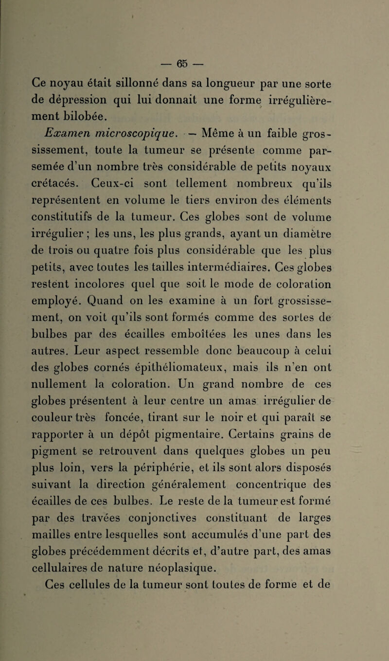 Ce noyau était sillonné dans sa longueur par une sorte de dépression qui lui donnait une forme irrégulière¬ ment bilobée. Examen microscopique. — Même à un faible gros¬ sissement, toute la tumeur se présente comme par¬ semée d’un nombre très considérable de petits noyaux crétacés. Ceux-ci sont tellement nombreux qu’ils représentent en volume le tiers environ des éléments constitutifs de la tumeur. Ces globes sont de volume irrégulier ; les uns, les plus grands, ayant un diamètre de trois ou quatre fois plus considérable que les plus petits, avec toutes les tailles intermédiaires. Ces globes restent incolores quel que soit le mode de coloration employé. Quand on les examine à un fort grossisse¬ ment, on voit qu’ils sont formés comme des sortes de bulbes par des écailles emboîtées les unes dans les autres. Leur aspect ressemble donc beaucoup à celui des globes cornés épithéliomateux, mais ils n’en ont nullement la coloration. Un grand nombre de ces globes présentent à leur centre un amas irrégulier de couleur très foncée, tirant sur le noir et qui paraît se rapporter à un dépôt pigmentaire. Certains grains de pigment se retrouvent dans quelques globes un peu plus loin, vers la périphérie, et ils sont alors disposés suivant la direction généralement concentrique des écailles de ces bulbes. Le reste de la tumeur est formé par des travées conjonctives constituant de larges mailles entre lesquelles sont accumulés d’une part des globes précédemment décrits et, d’autre part, des amas cellulaires de nature néoplasique. Ces cellules de la tumeur sont toutes de forme et de